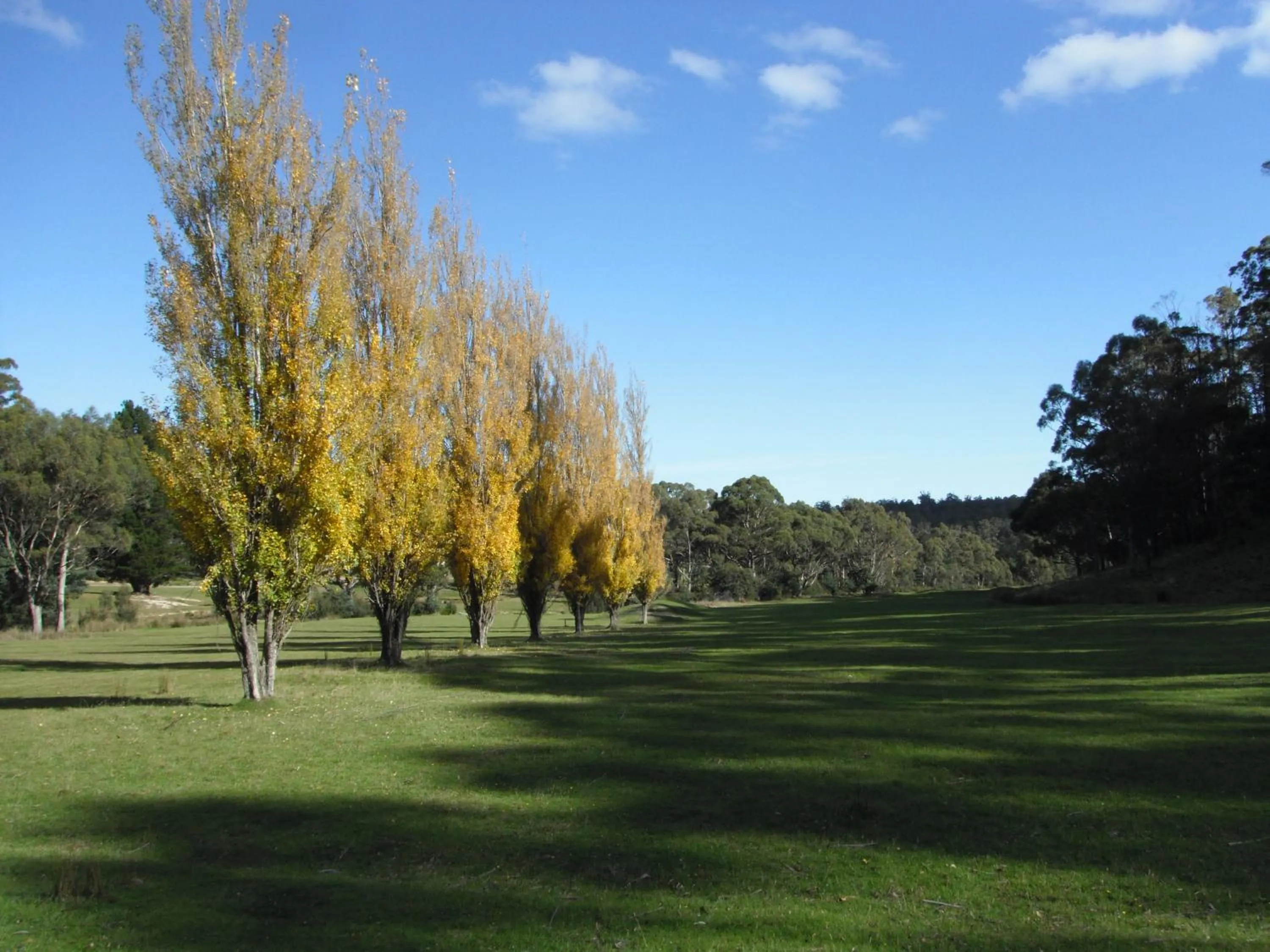 Natural landscape in Craggy Peaks Wilderness Cabins
