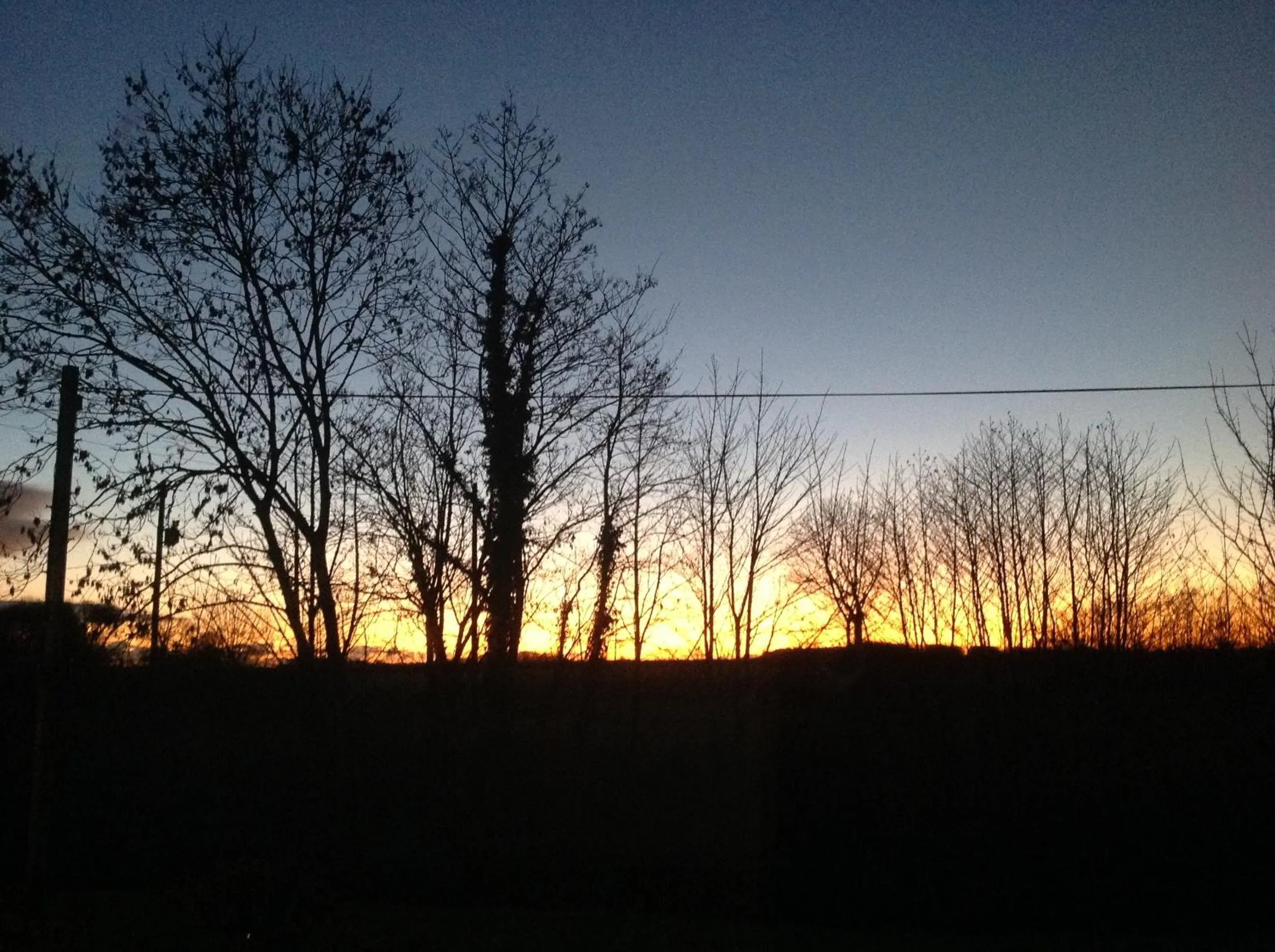 Other in Midtown Farm Bed & Breakfast