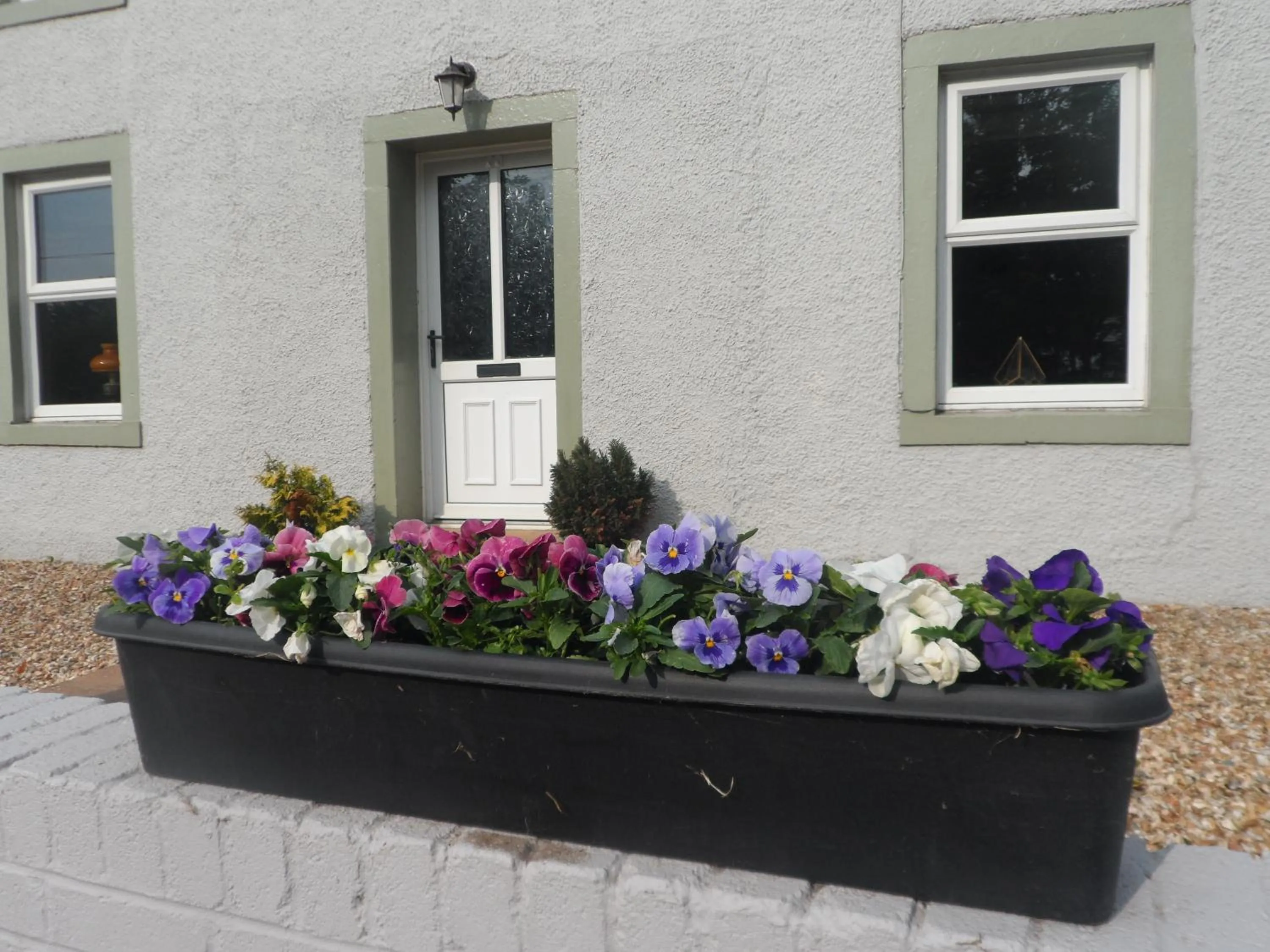 Property building in Midtown Farm Bed & Breakfast