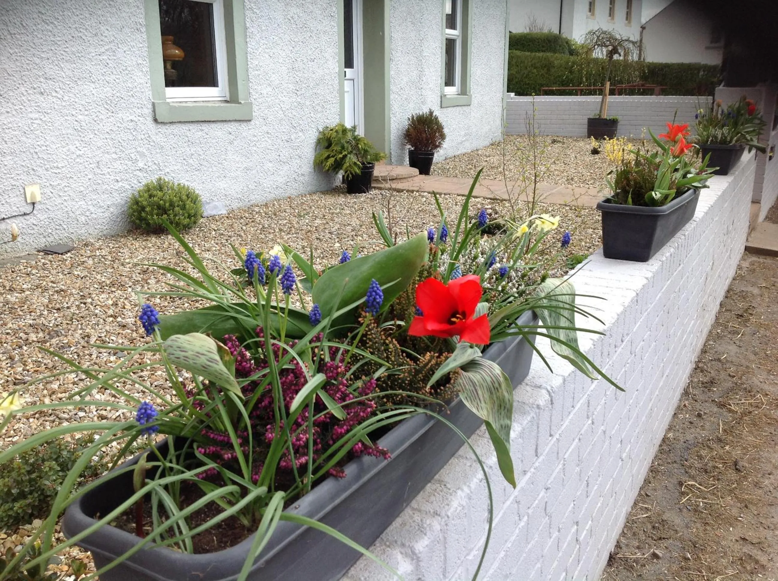Garden in Midtown Farm Bed & Breakfast