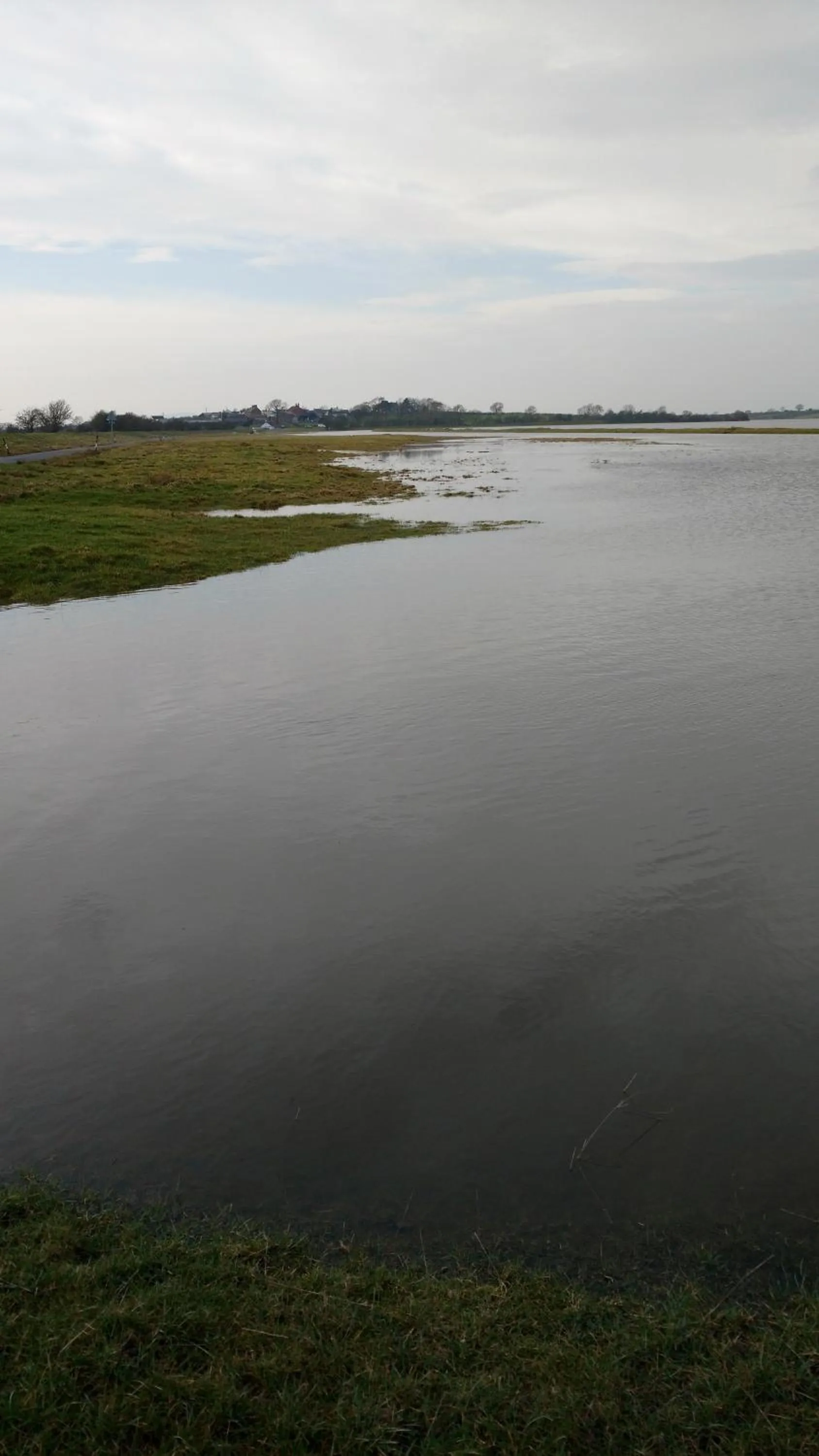 Natural landscape in Midtown Farm Bed & Breakfast