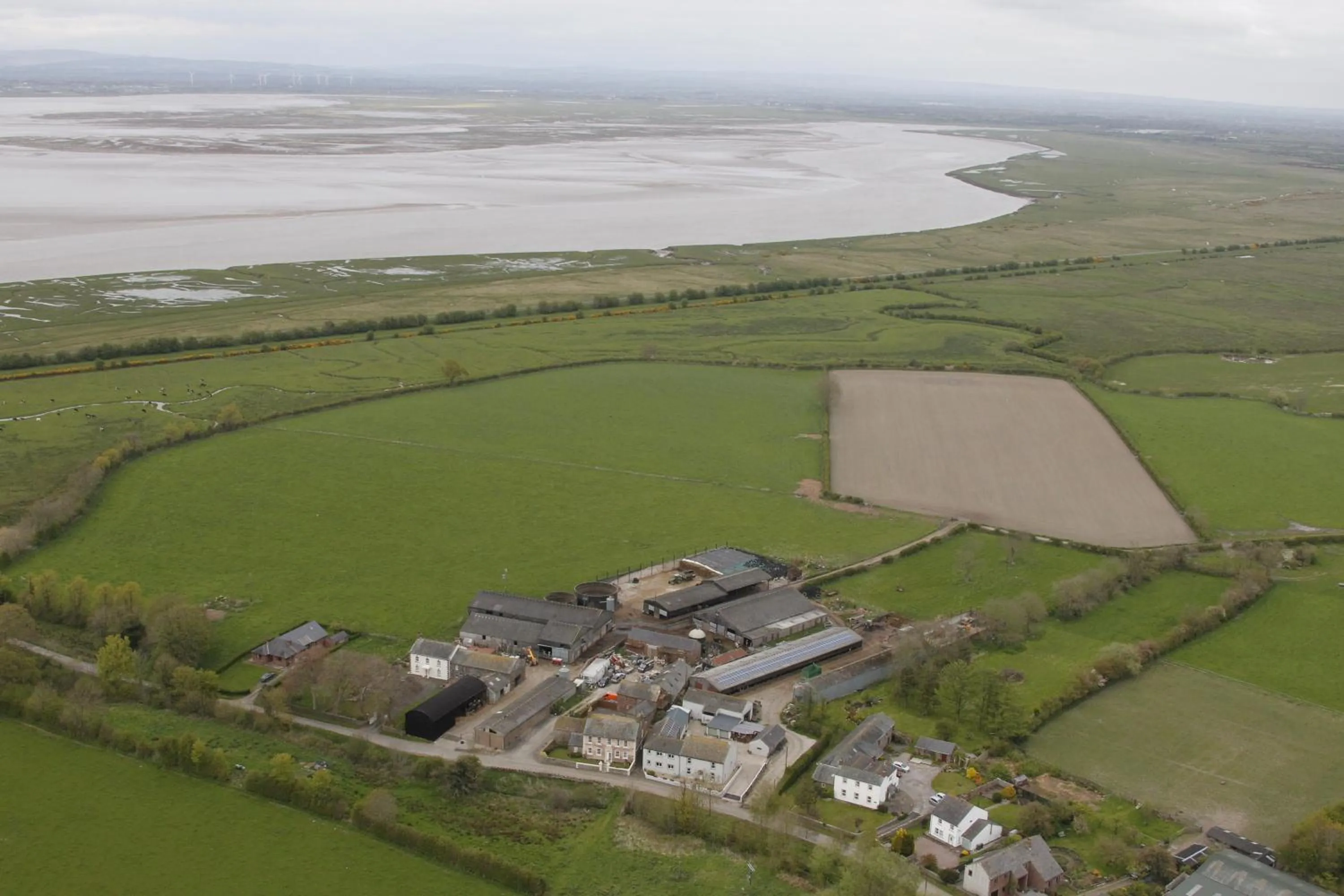 Natural landscape in Midtown Farm Bed & Breakfast