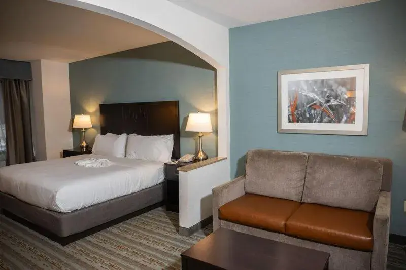 King Suite with Bathtub w/Grab Bars - Mobility Access/Non-Smoking in Wyndham Garden Erie King Suite with Bathtub w/Grab Bars - Mobility Access/Non-Smoking in Wyndham Garden Erie