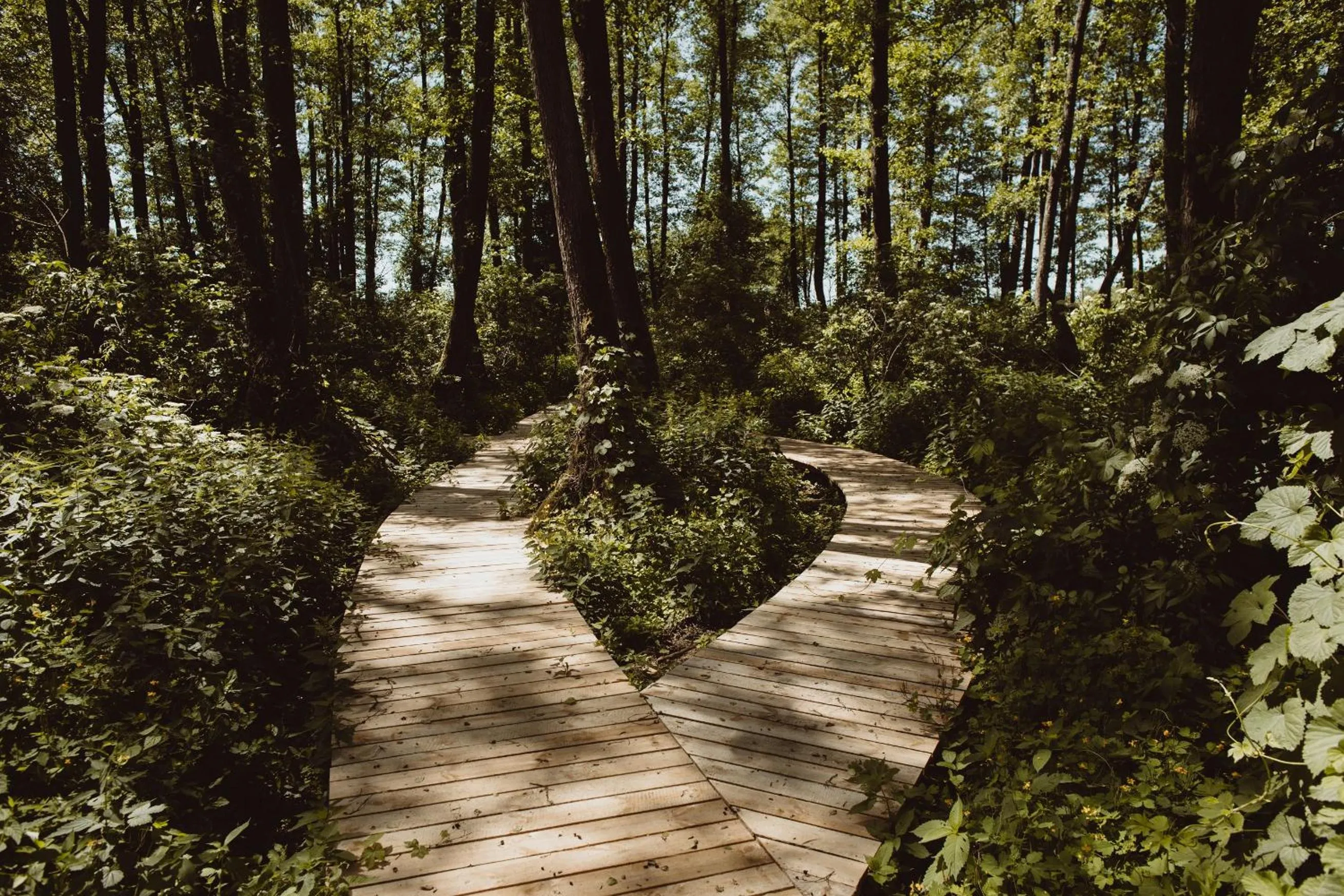 Nearby landmark in Zamek Janów Podlaski