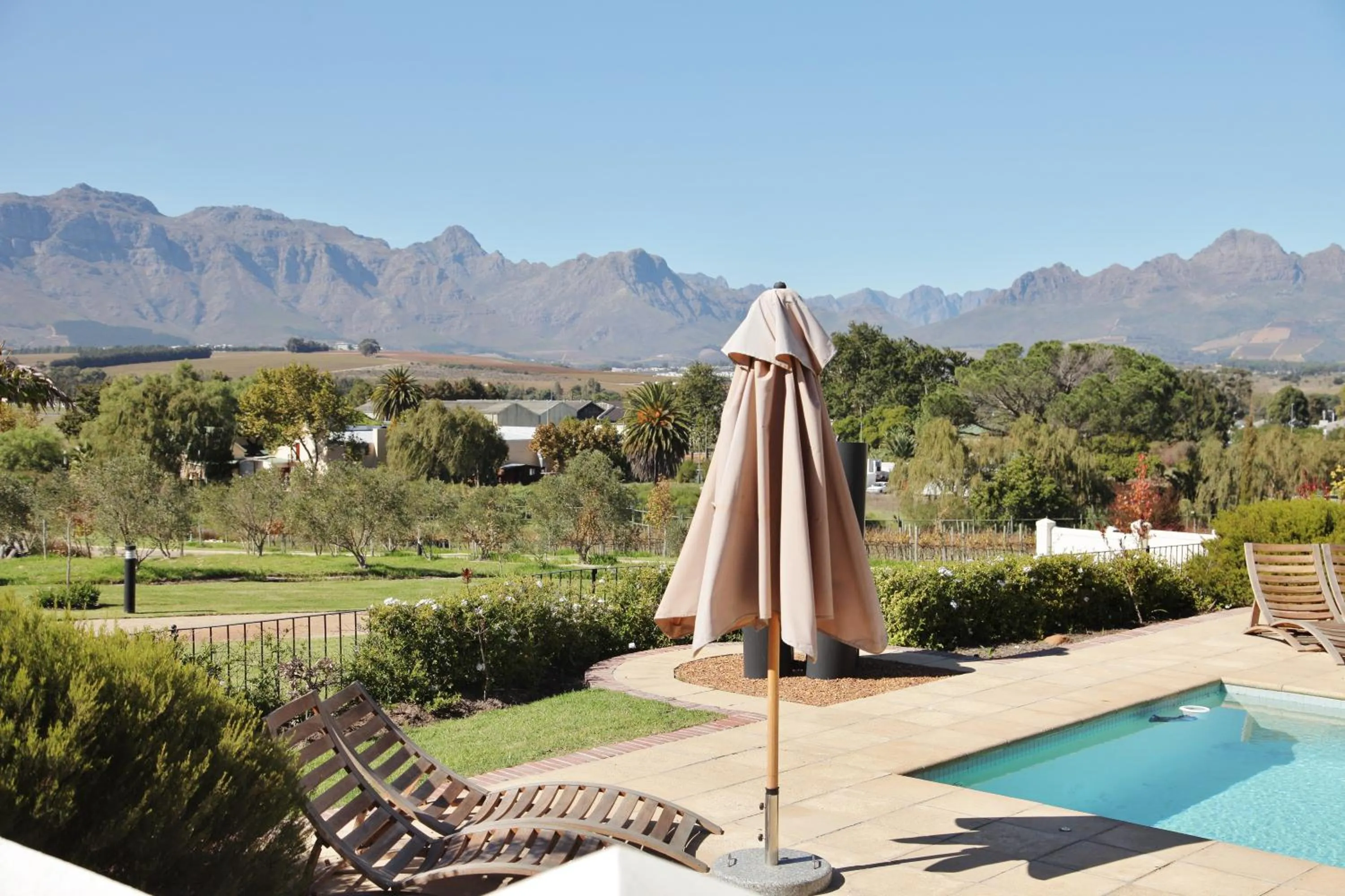 Day in Wild Mushroom Country House