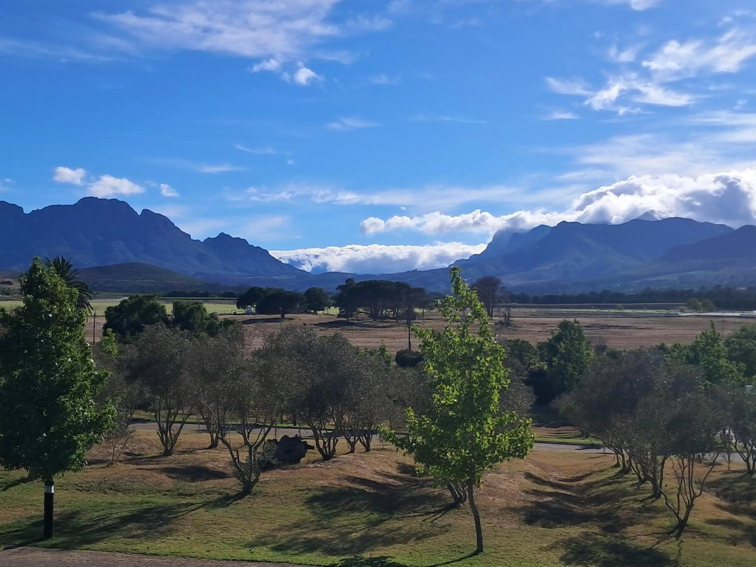 View (from property/room) in Wild Mushroom Country House