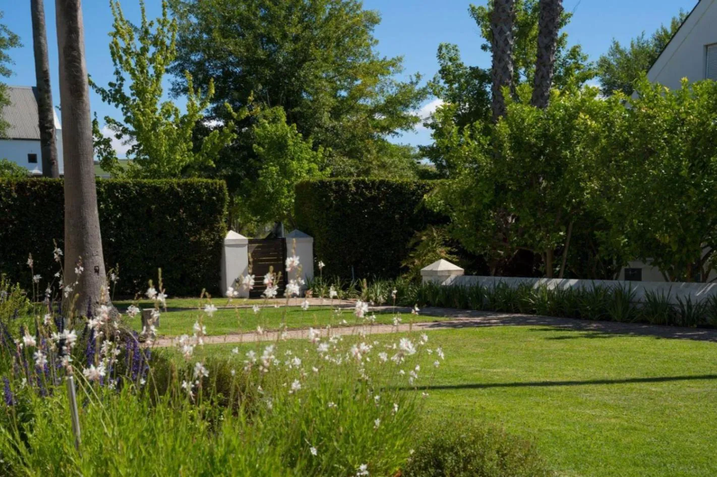 Garden in Wild Mushroom Country House
