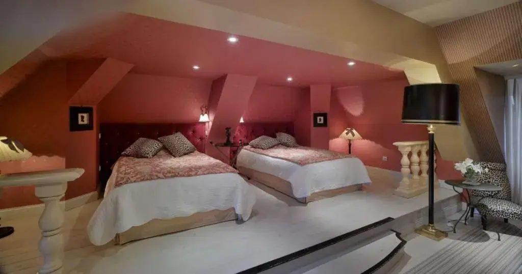 Large Twin Room in Chateau De Germigney Large Twin Room in Chateau De Germigney