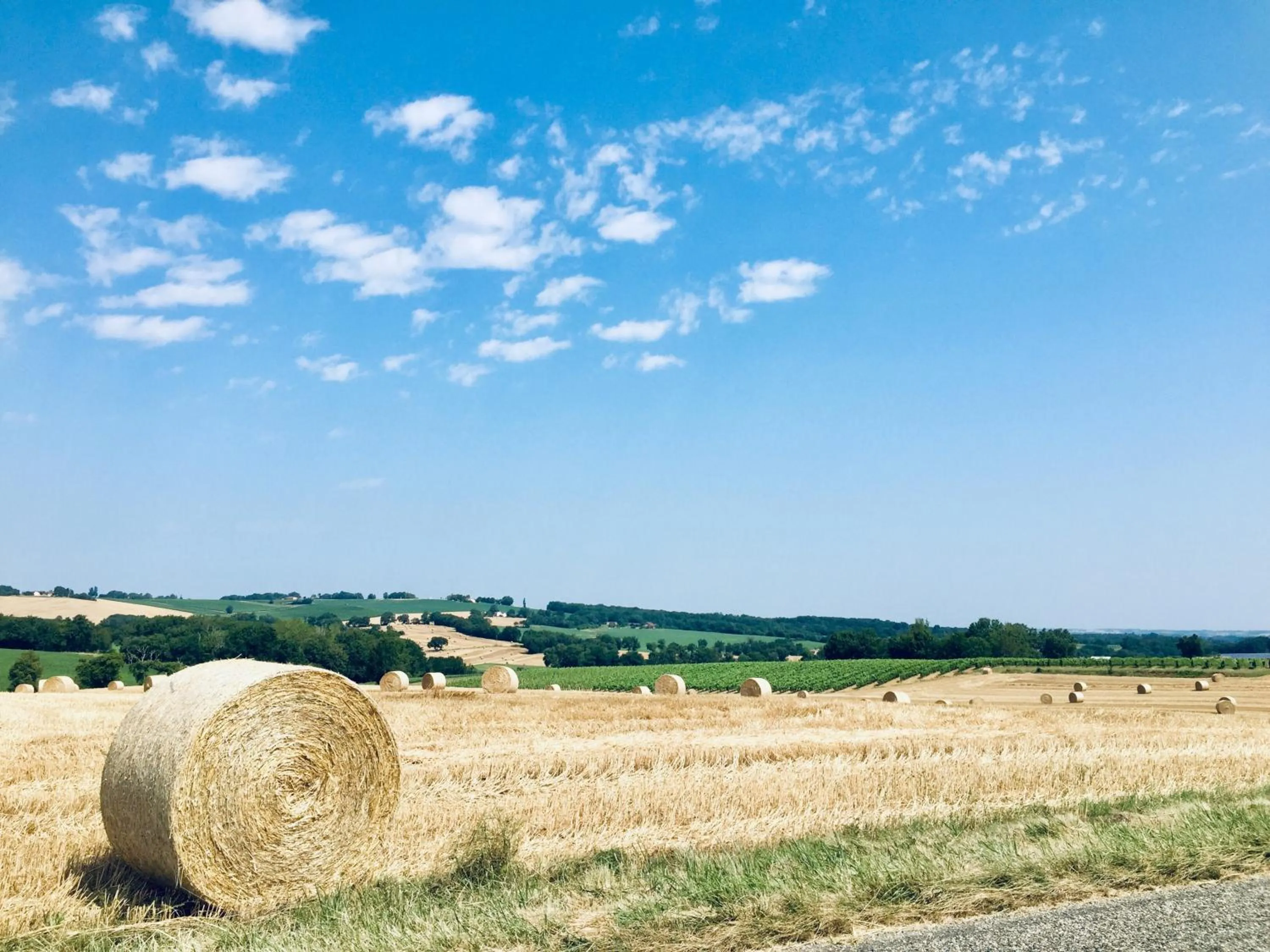 " Venez DormiR Chez Nous " #Condom#Gascogne#d'Artagnan#Armagnac#Le Bonheur est dans le GERS