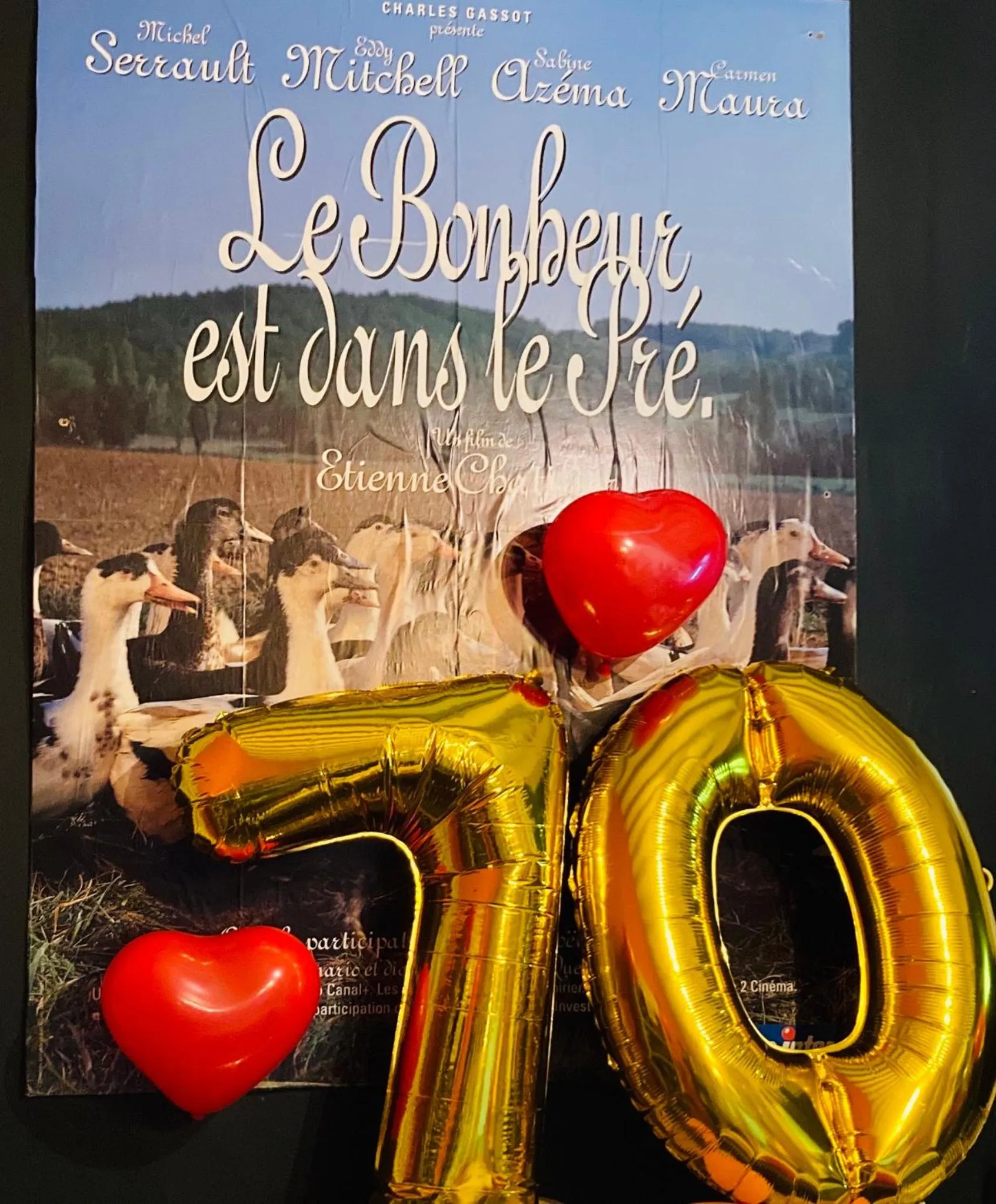 " Venez DormiR Chez Nous " #Condom#Gascogne#d'Artagnan#Armagnac#Le Bonheur est dans le GERS