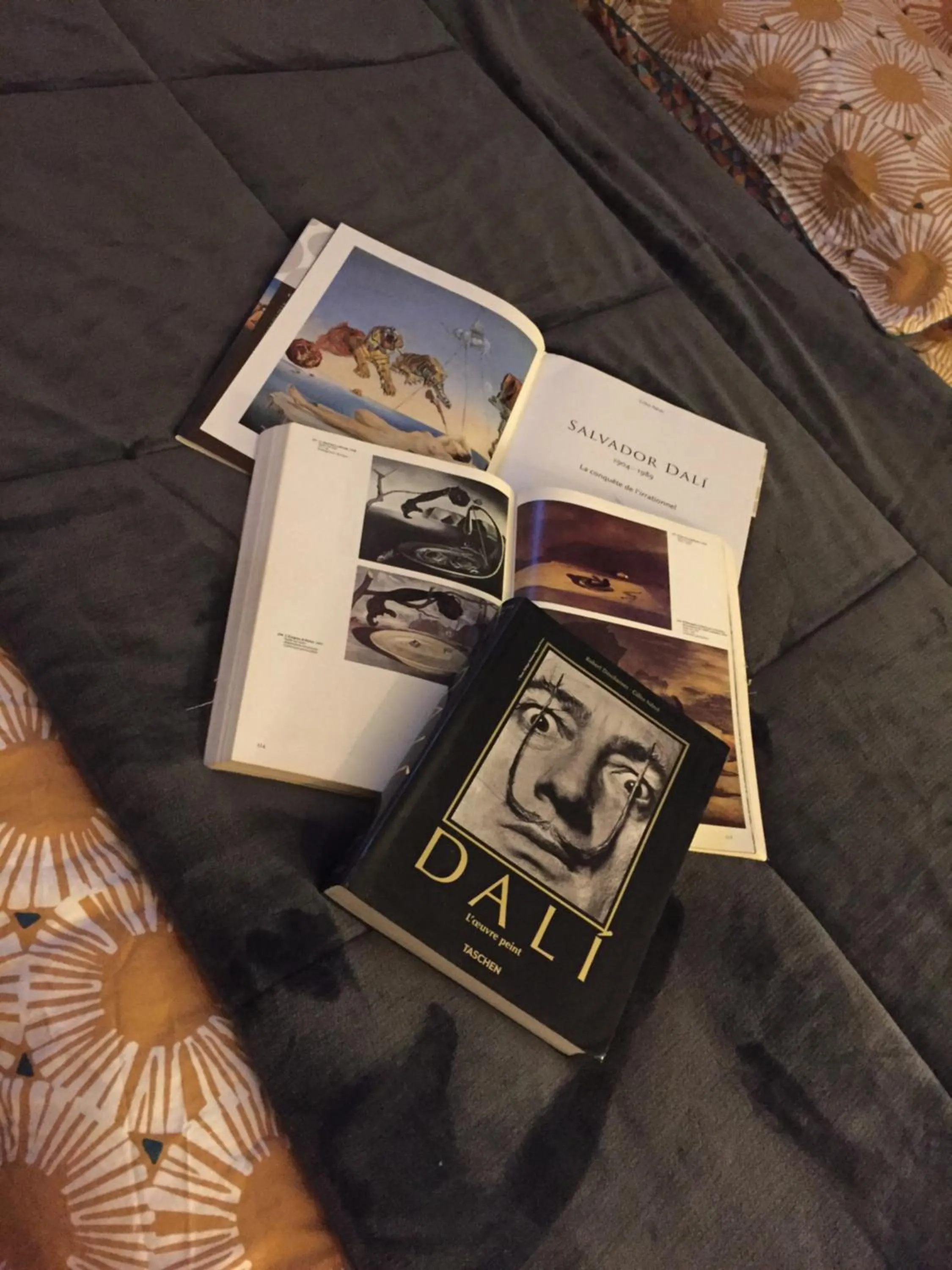 " Venez DormiR Chez Nous " #Condom#Gascogne#d'Artagnan#Armagnac#Le Bonheur est dans le GERS