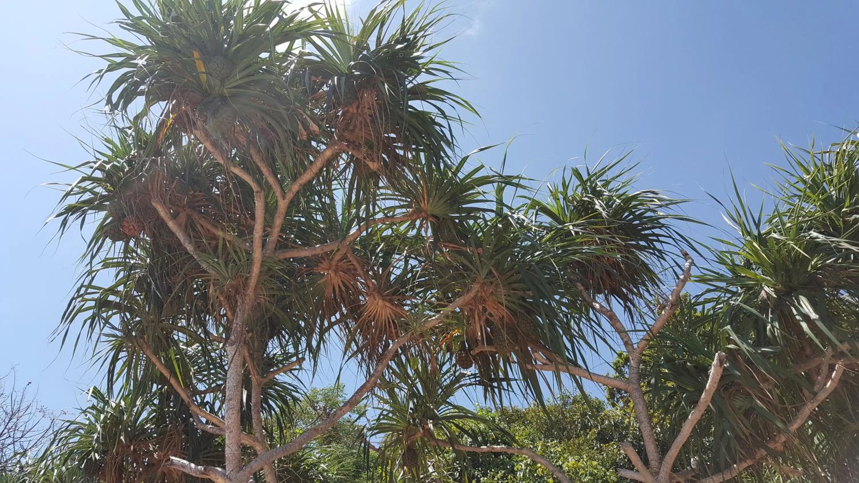 Nearby landmark in Lien Thong Hotel