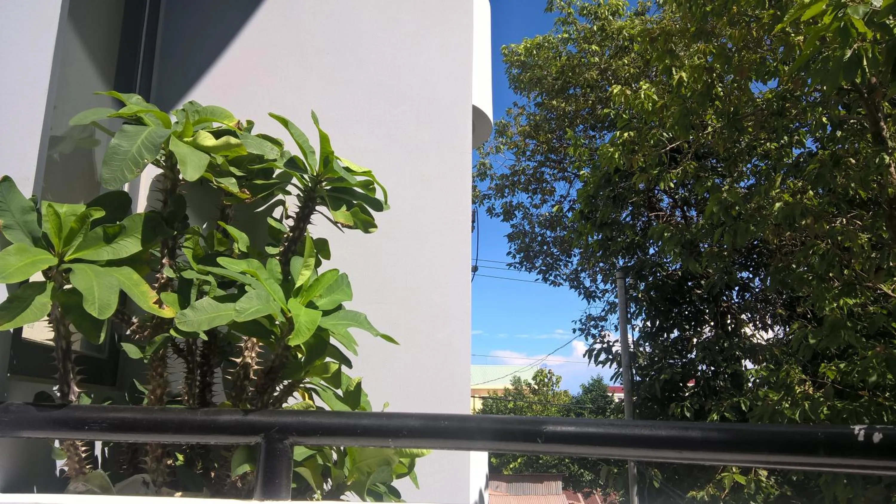 Garden in Lien Thong Hotel