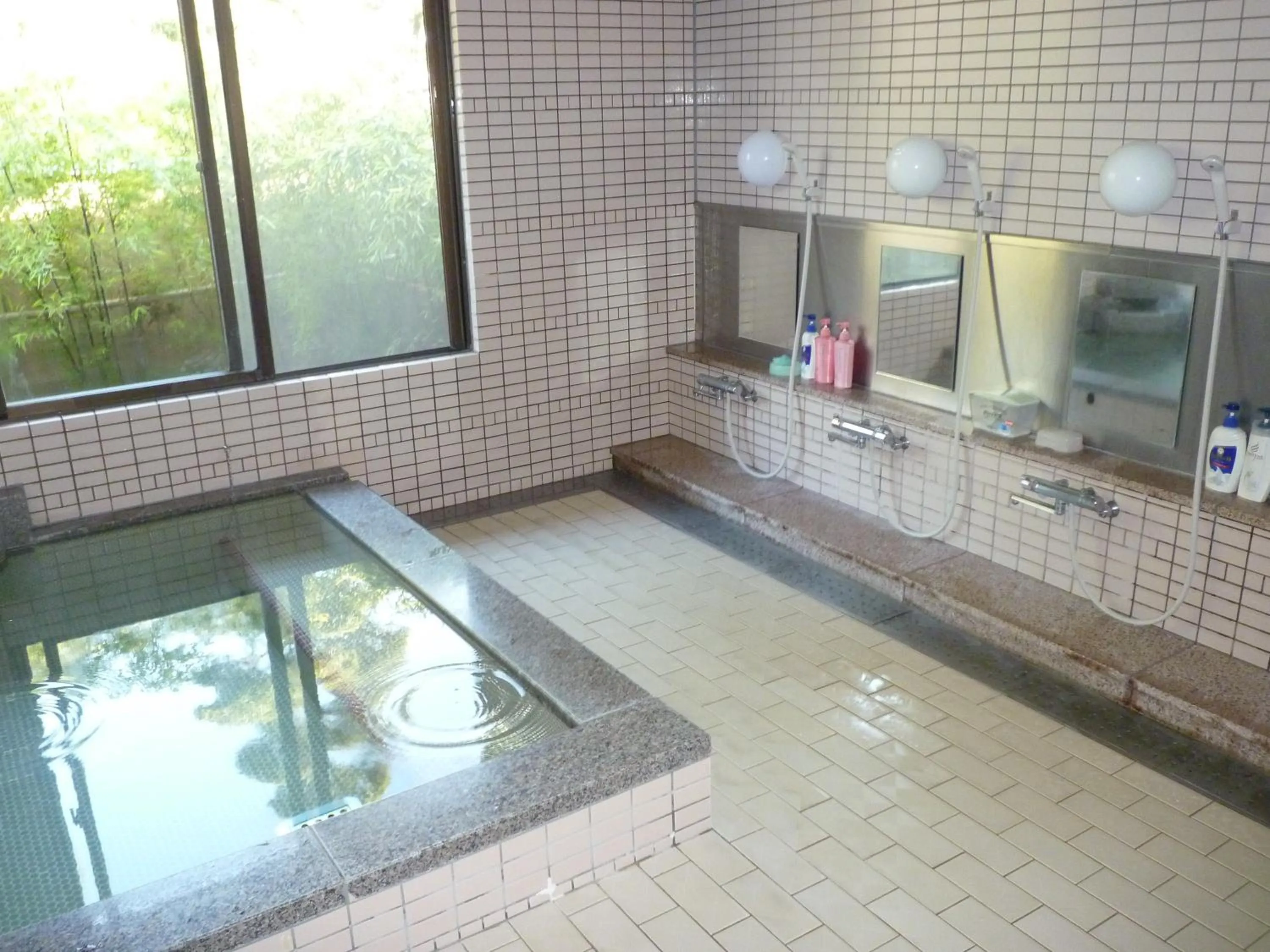 Other in Yanagawa Hakuryuso