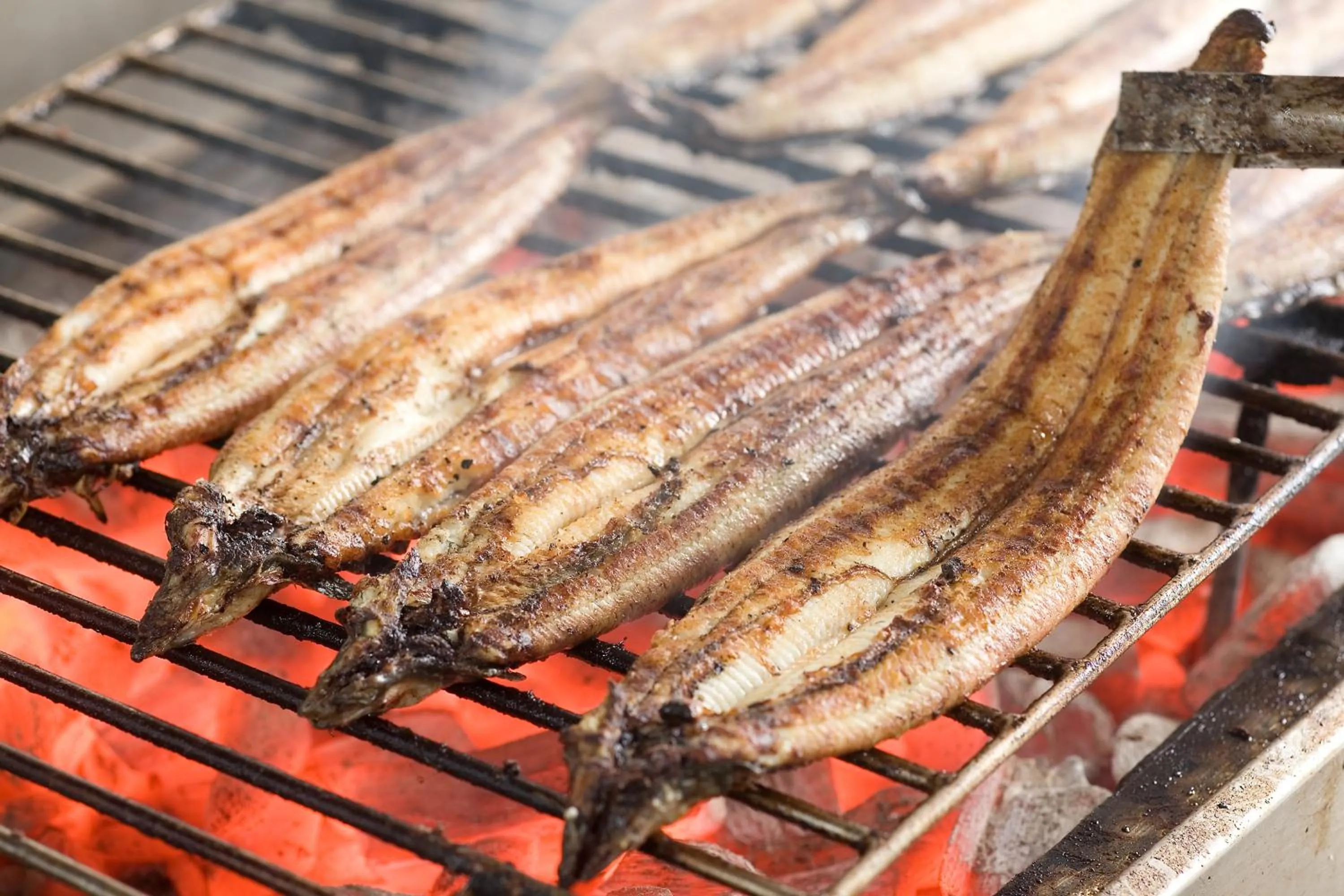 Food close-up in Yanagawa Hakuryuso