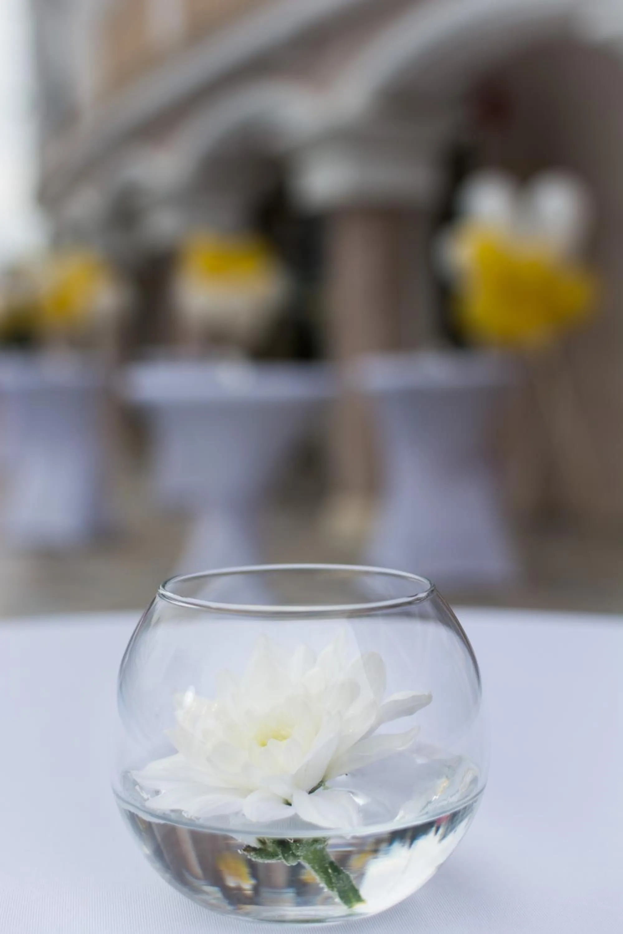 Other in Siena Palace