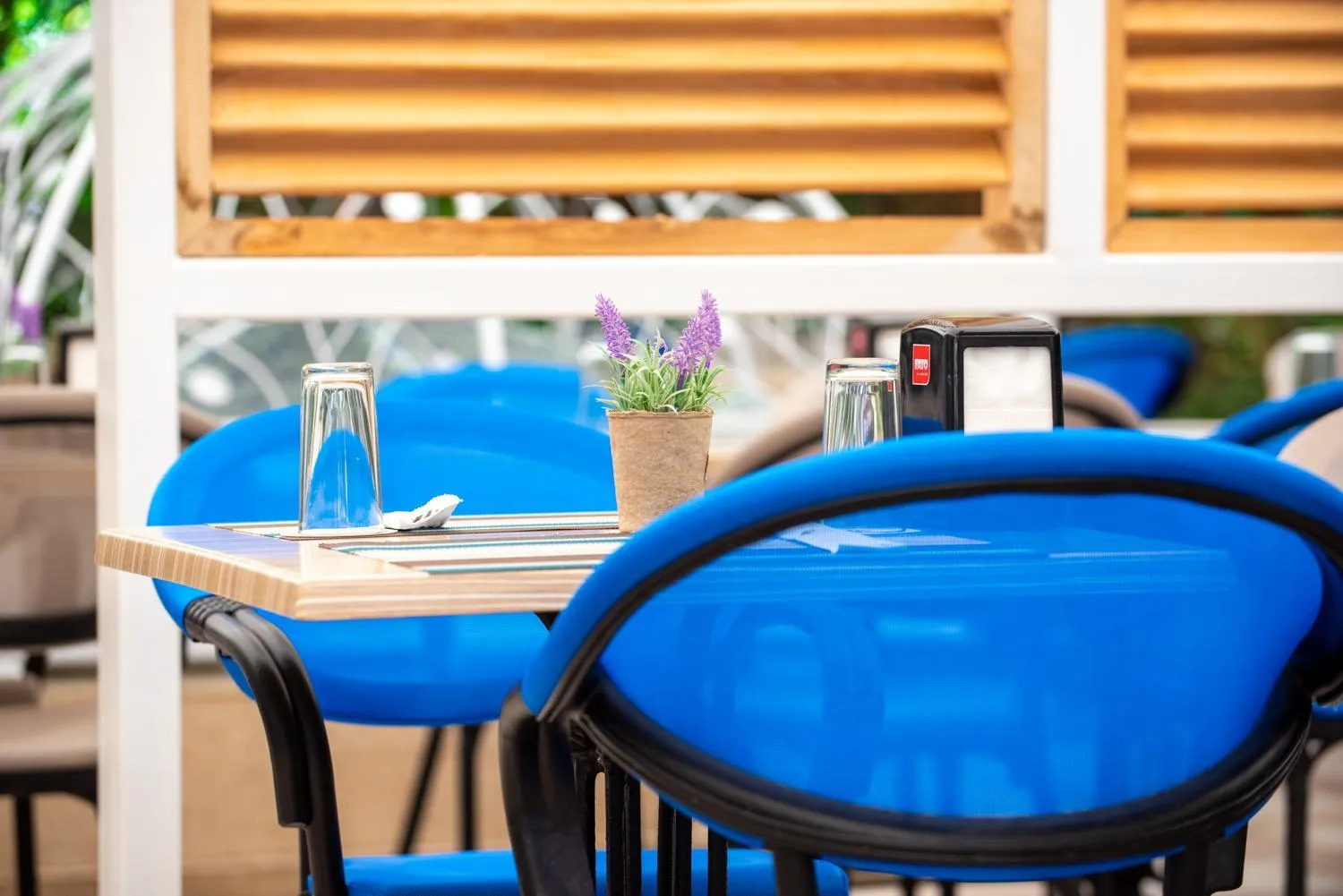 Restaurant/places to eat in Siena Palace