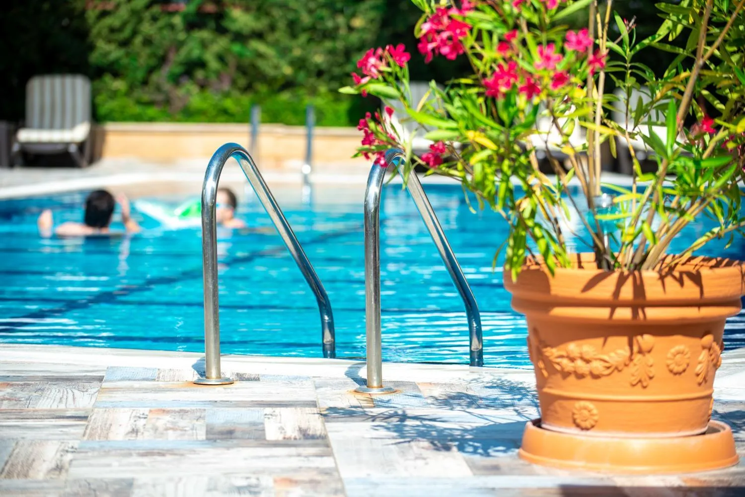 Swimming pool in Siena Palace
