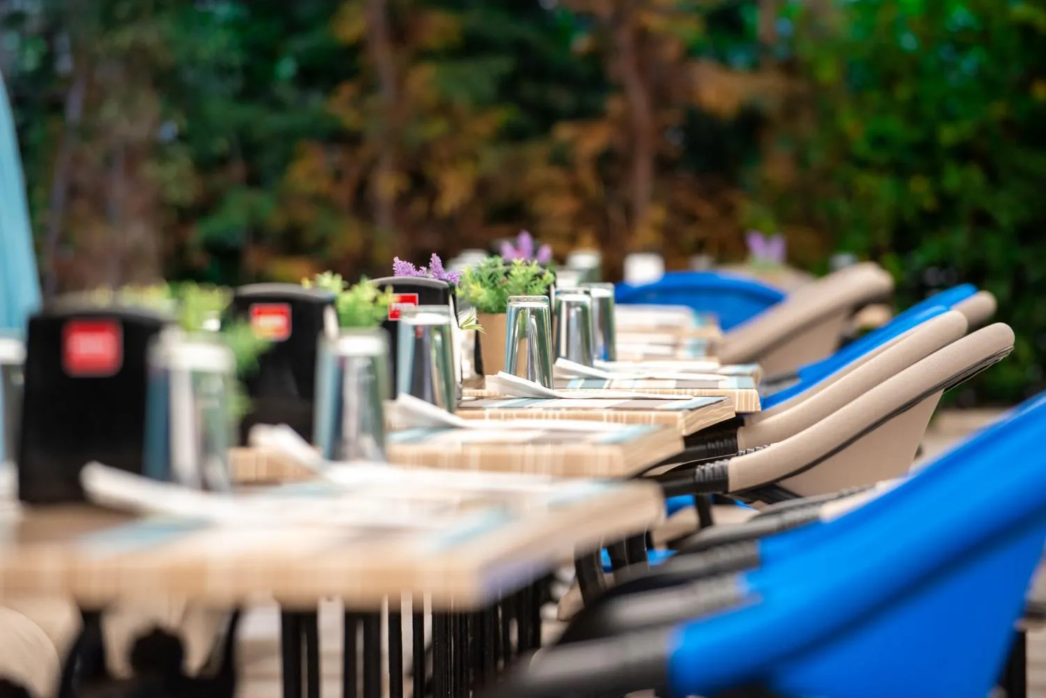 Restaurant/places to eat in Siena Palace