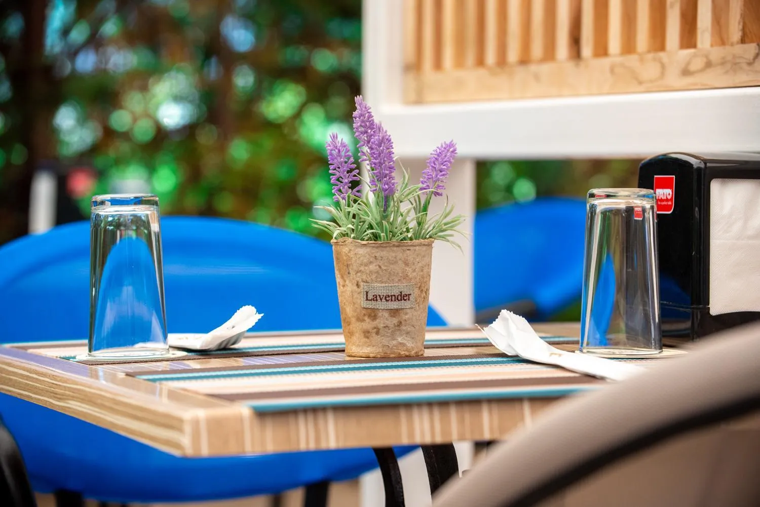 Restaurant/places to eat in Siena Palace