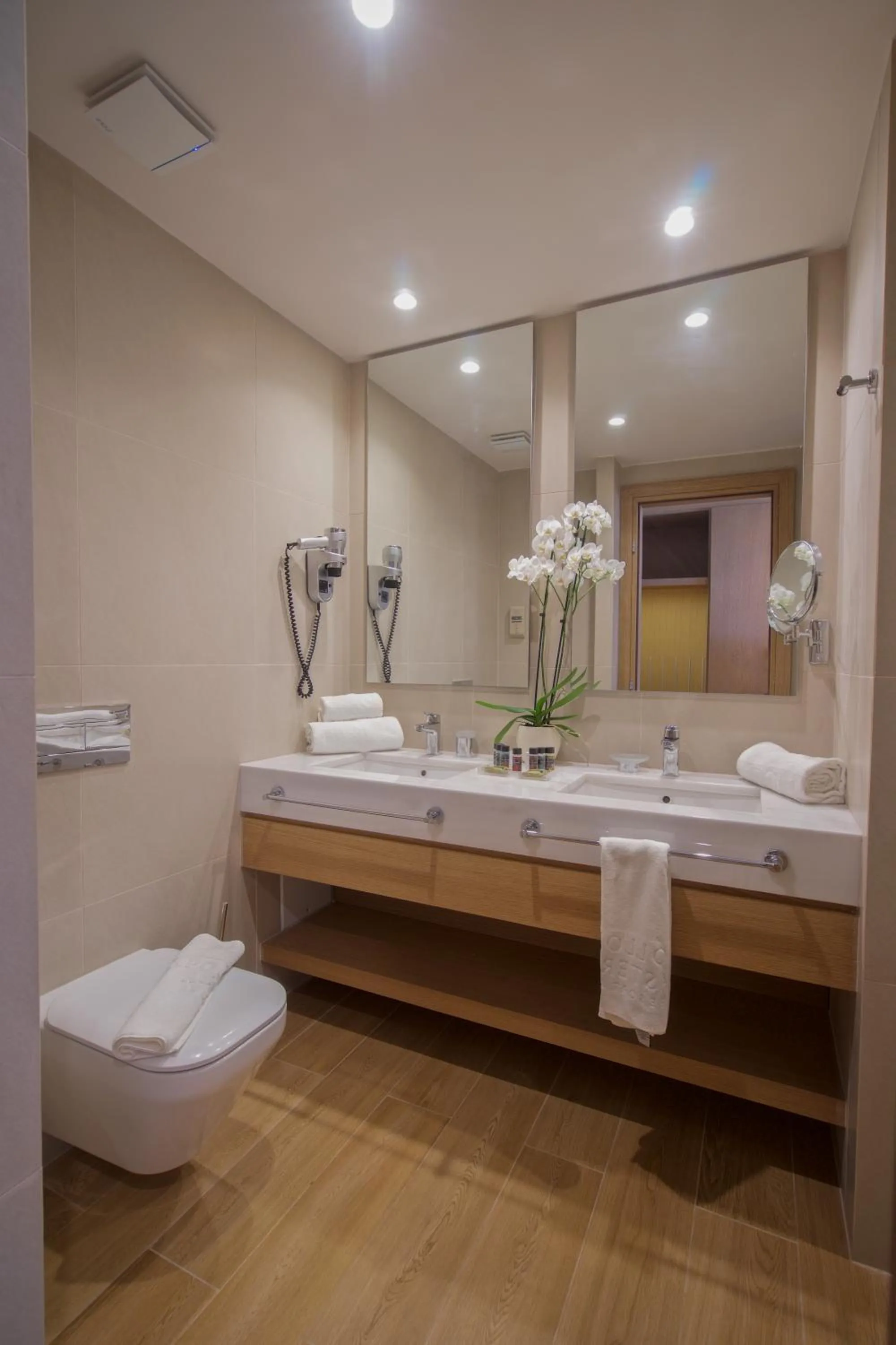 Bathroom in Apollonion Asterias Resort and Spa