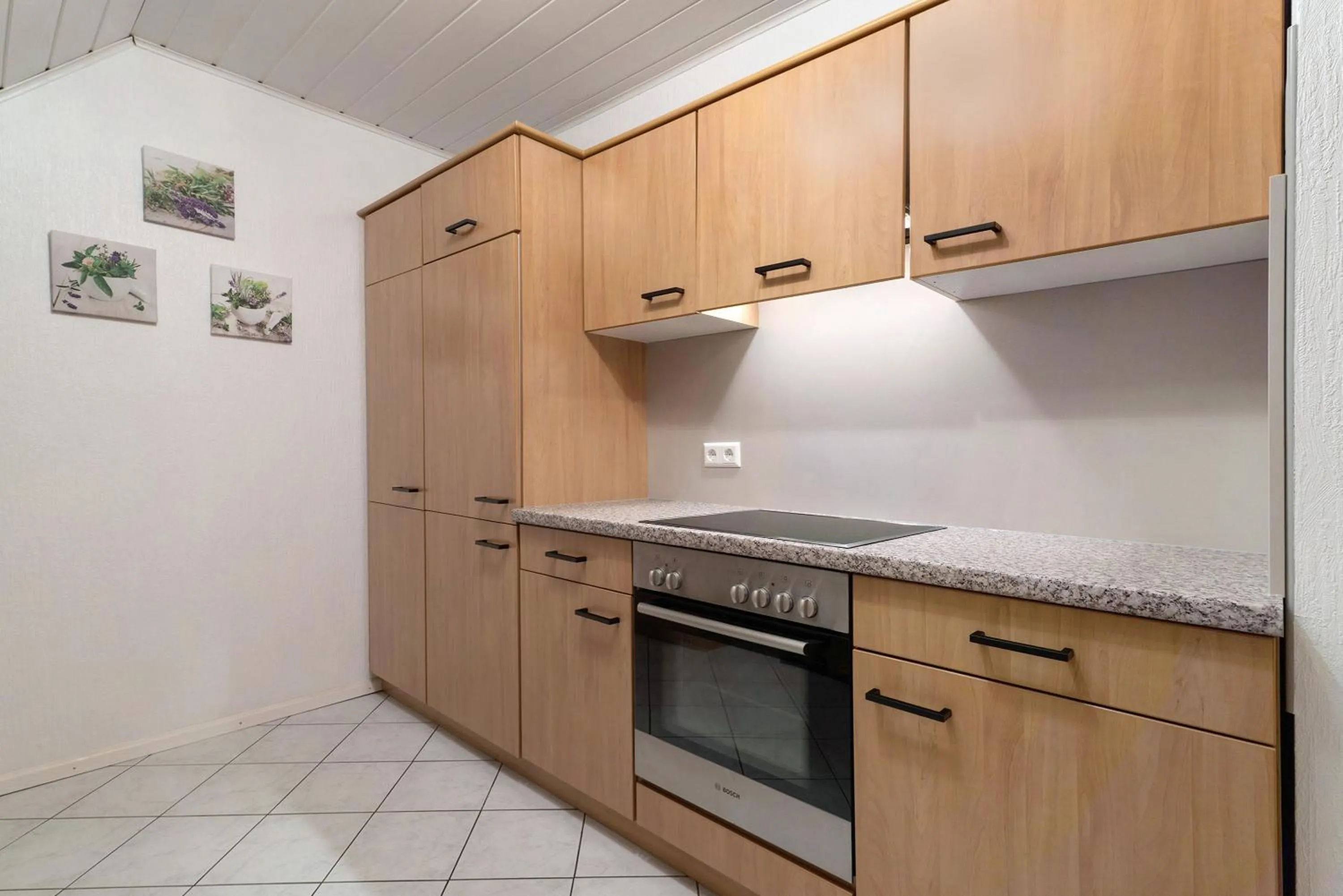 Kitchen or kitchenette in Ferienhof Benz