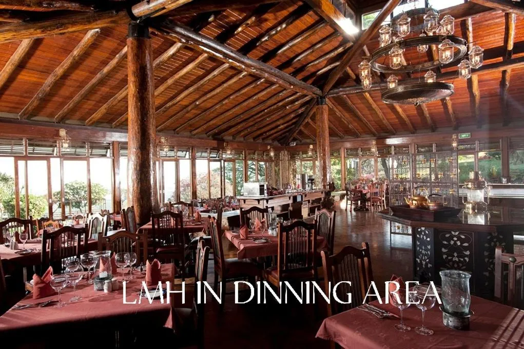 Restaurant/places to eat in Lake Manyara Wildlife Lodge