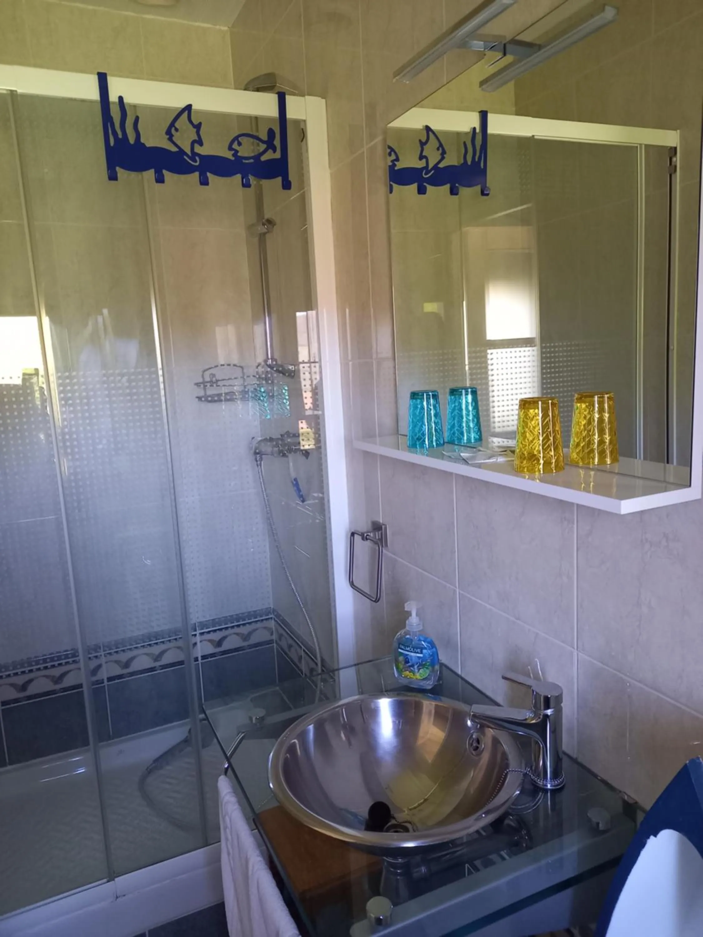 Shower in Villa Goxoki avec piscine Saint Jean Pied de Port