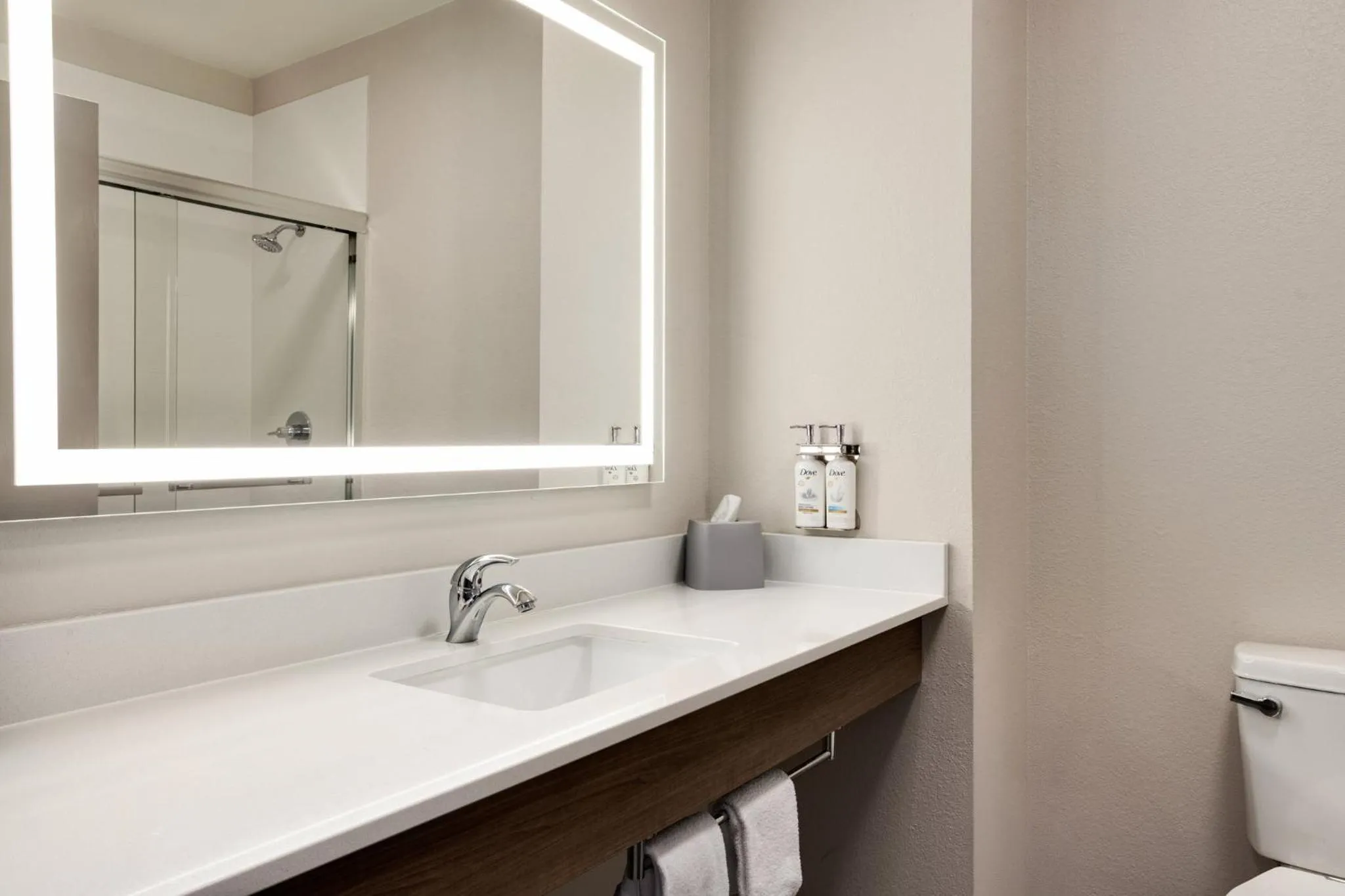 Bathroom in Holiday Inn Express & Suites Forrest City by IHG