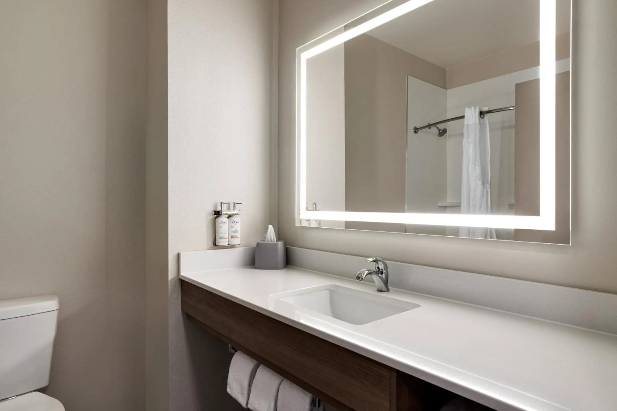 Bathroom in Holiday Inn Express & Suites Forrest City by IHG
