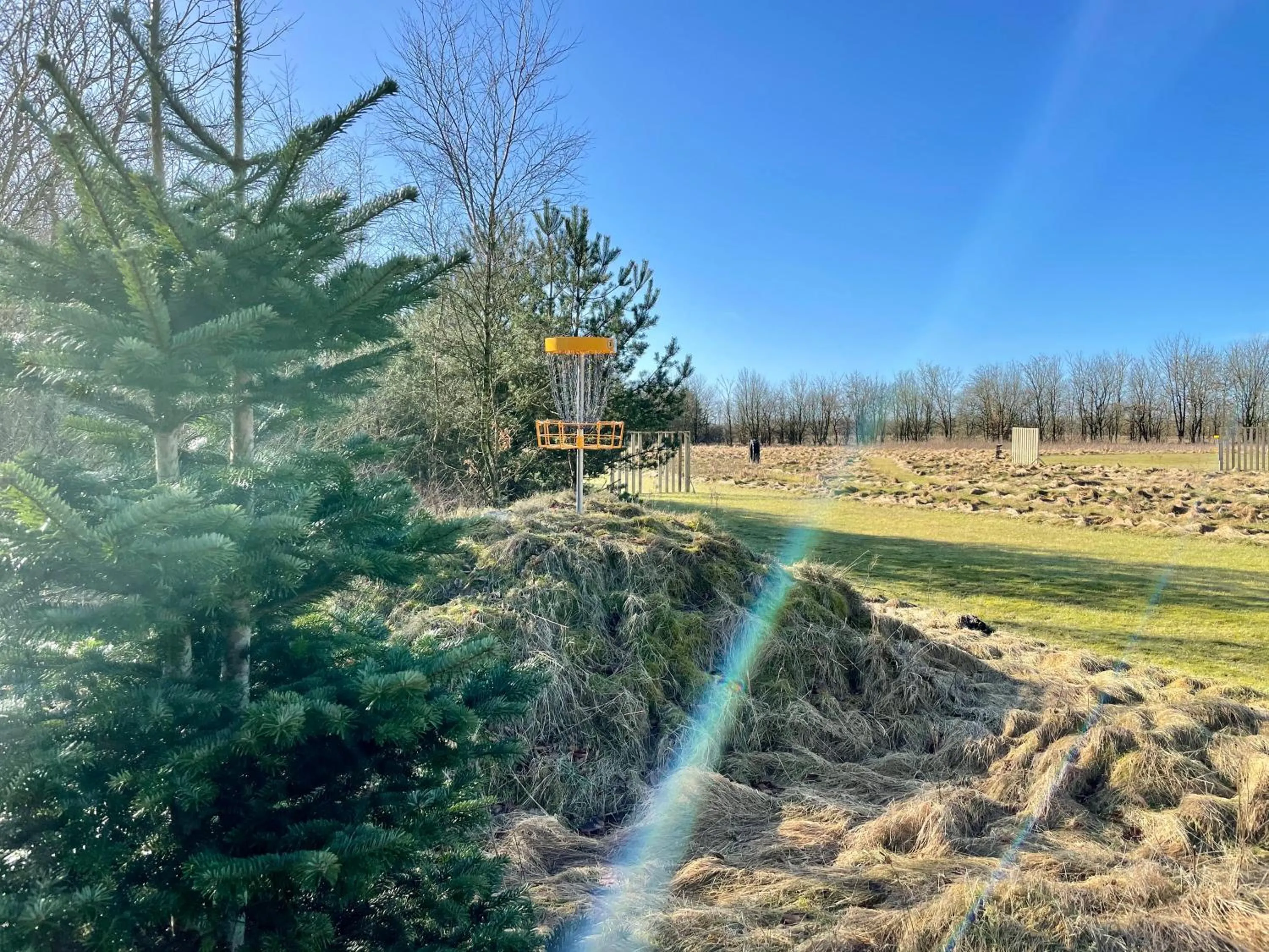 Entertainment in Hestkær Family Rooms
