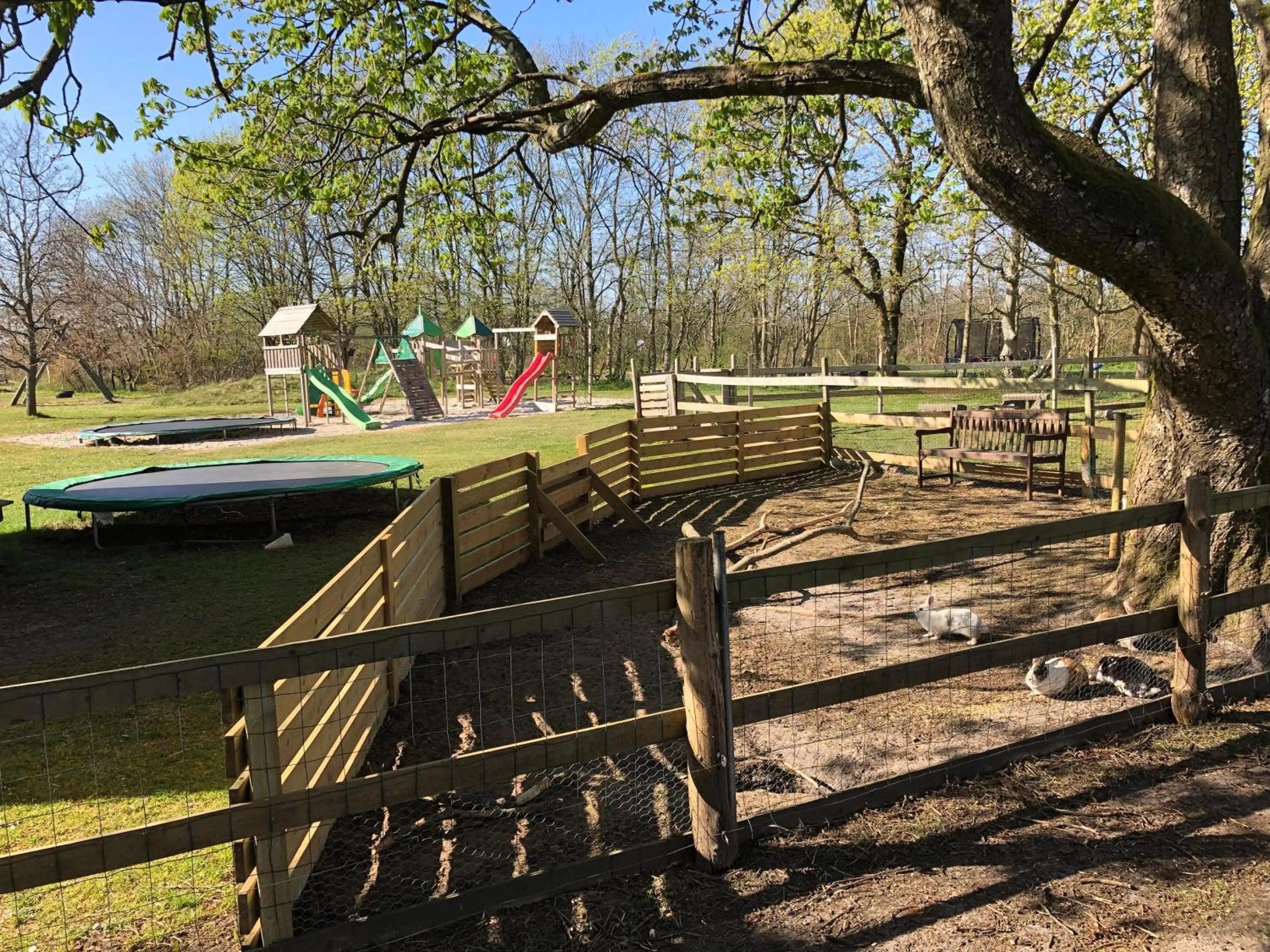 Garden in Hestkær Family Rooms