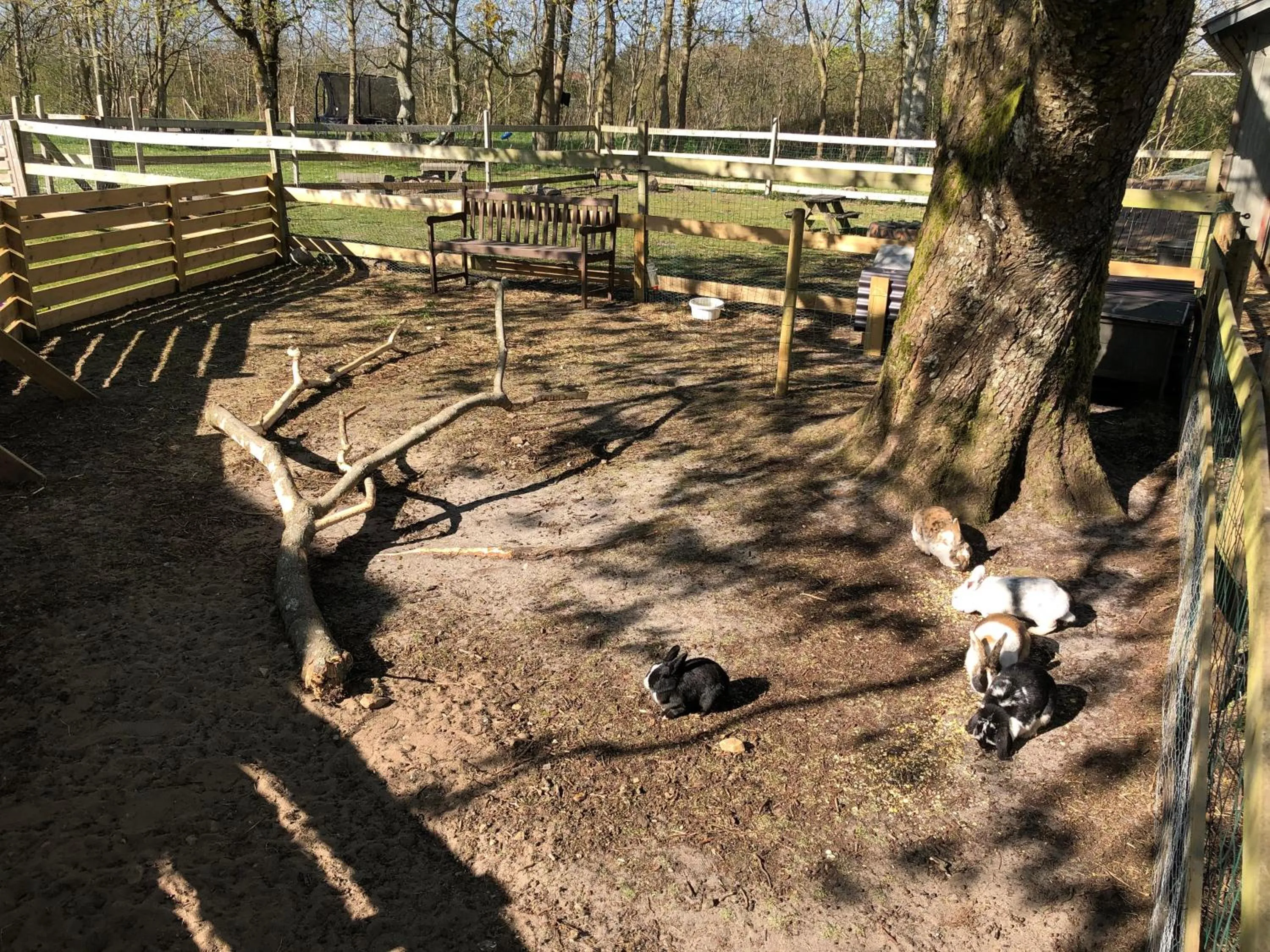 Garden in Hestkær Family Rooms