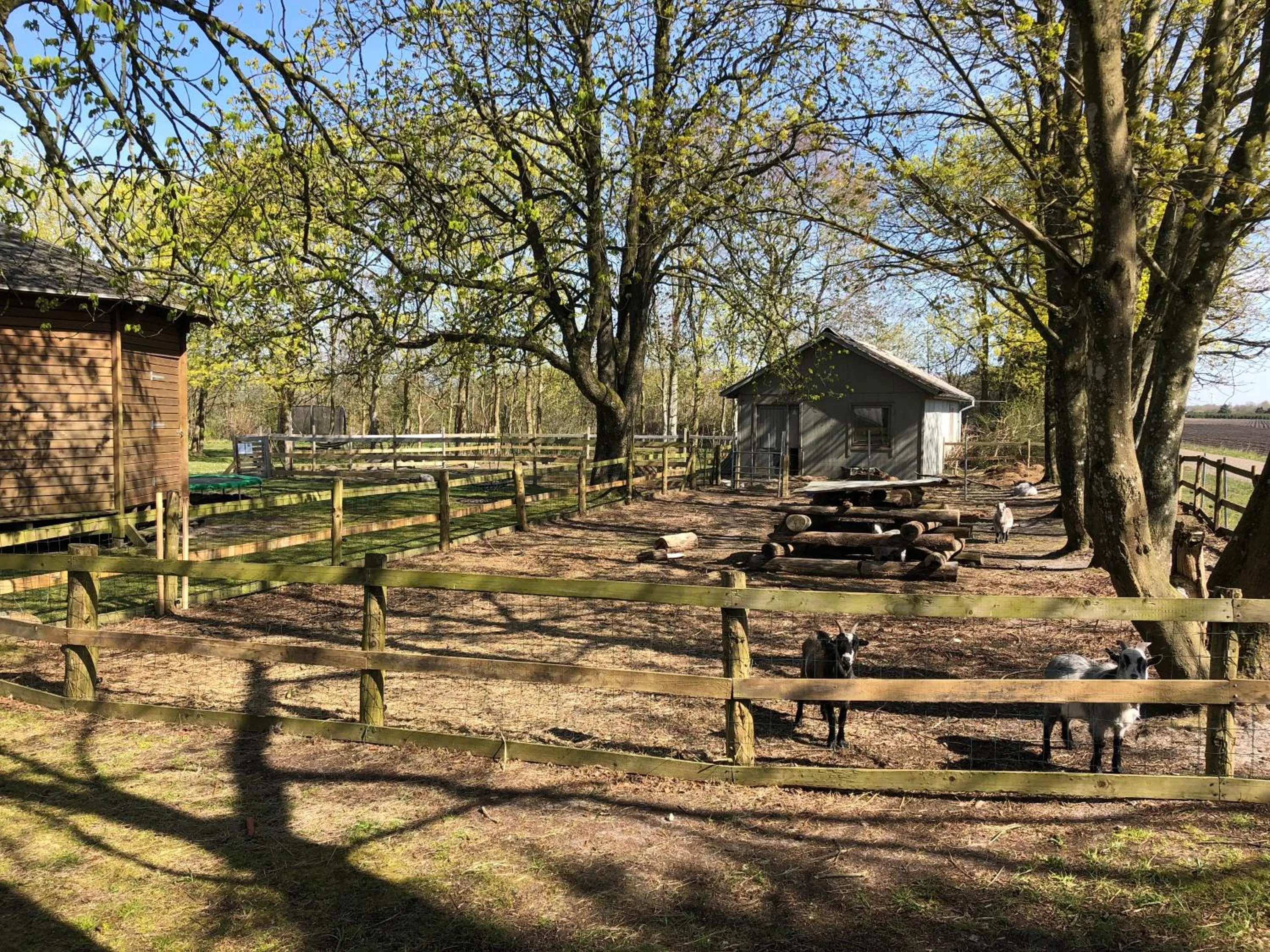 Animals in Hestkær Family Rooms