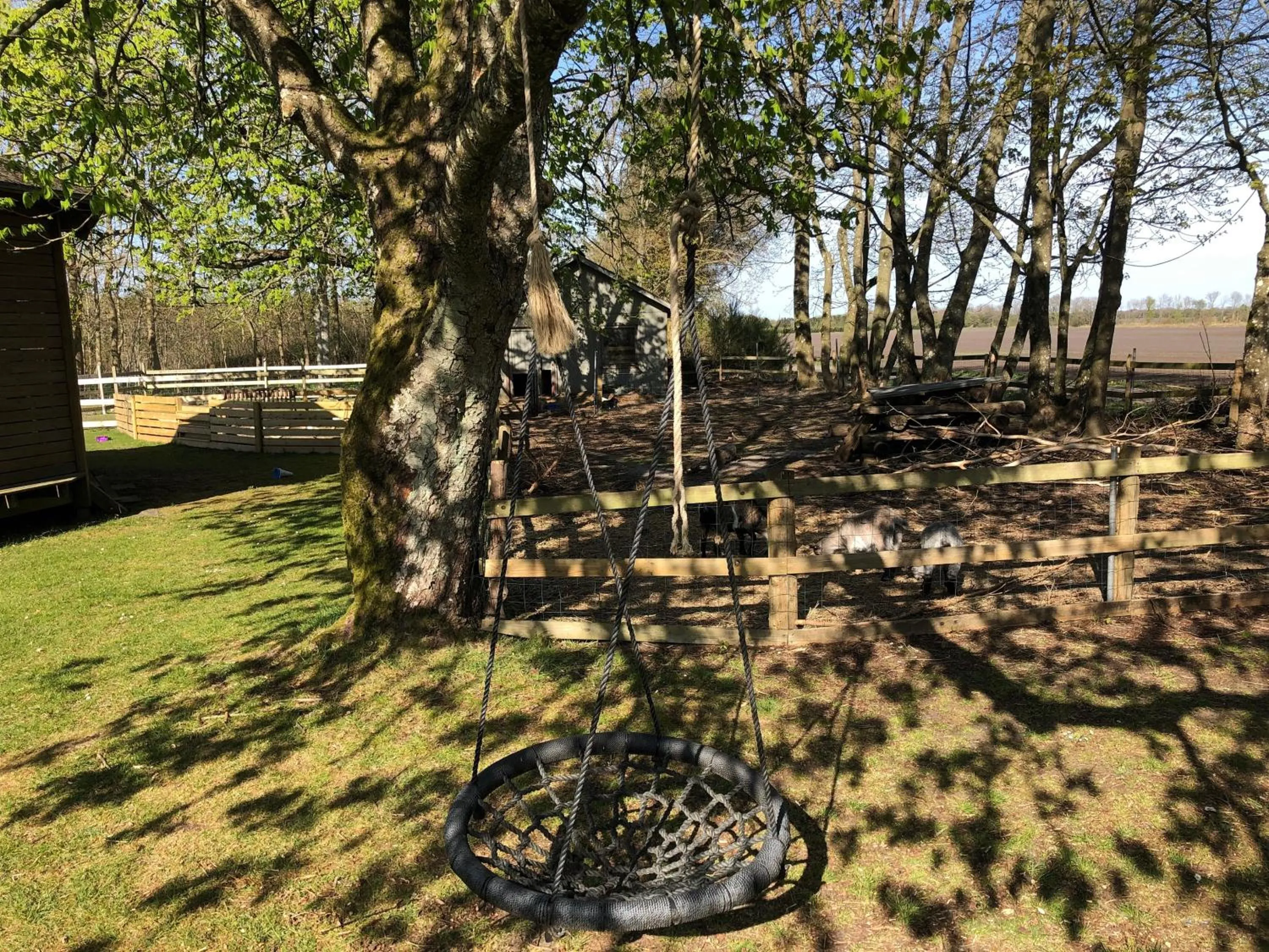 Natural landscape in Hestkær Family Rooms