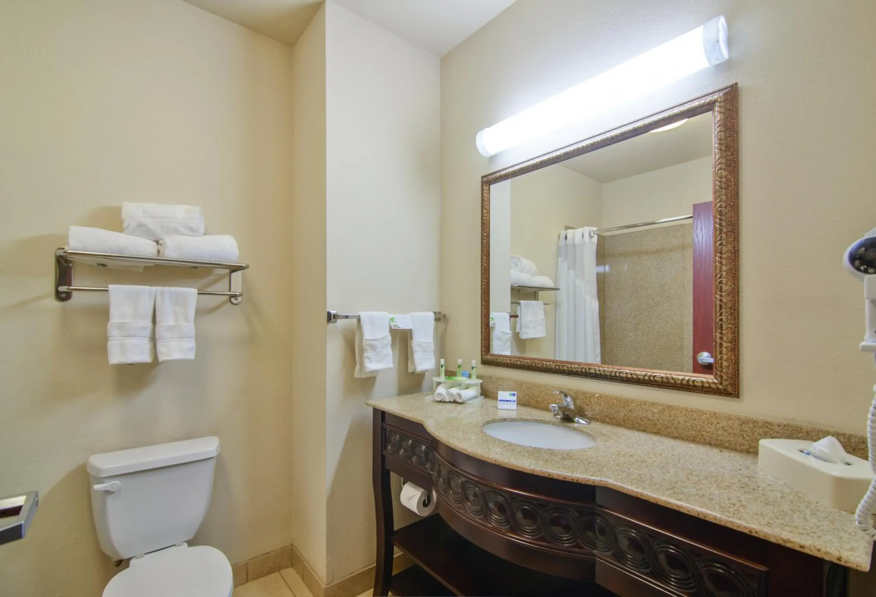 King Suite with Sofa Bed in Holiday Inn Express Hotel & Suites Terrell by IHG King Suite with Sofa Bed in Holiday Inn Express Hotel & Suites Terrell by IHG