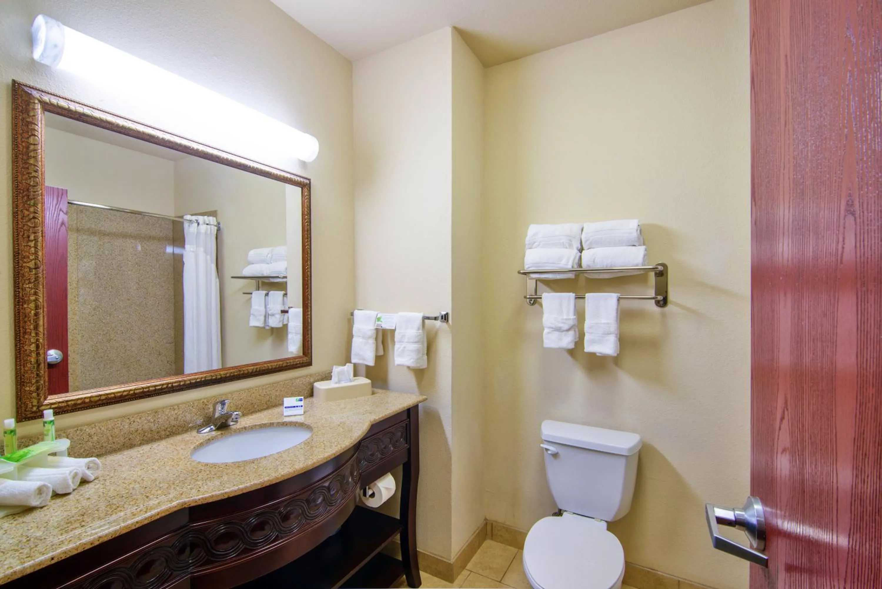 Bathroom in Holiday Inn Express Hotel & Suites Terrell by IHG