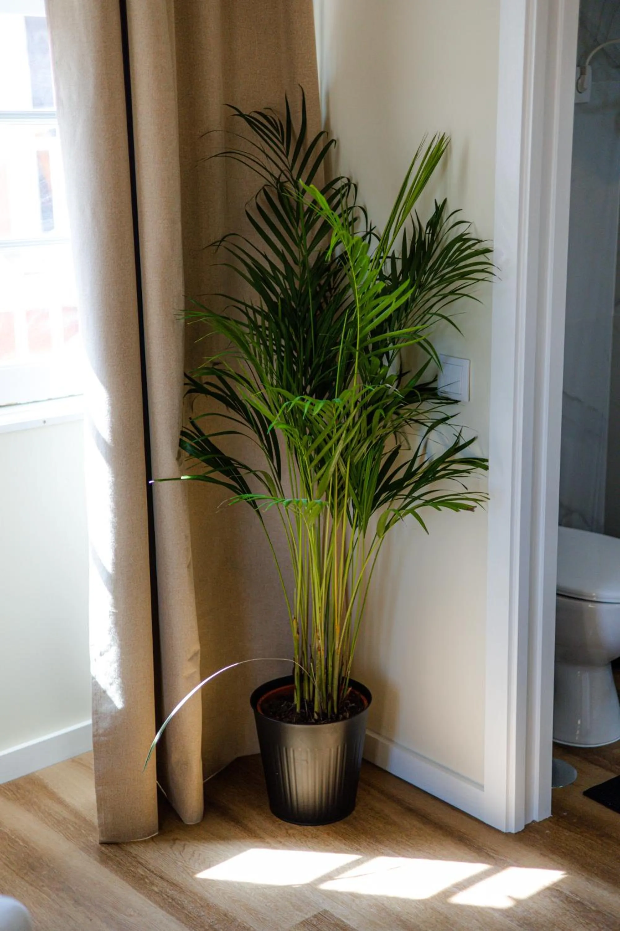 Decorative detail in Green Coast Surf House