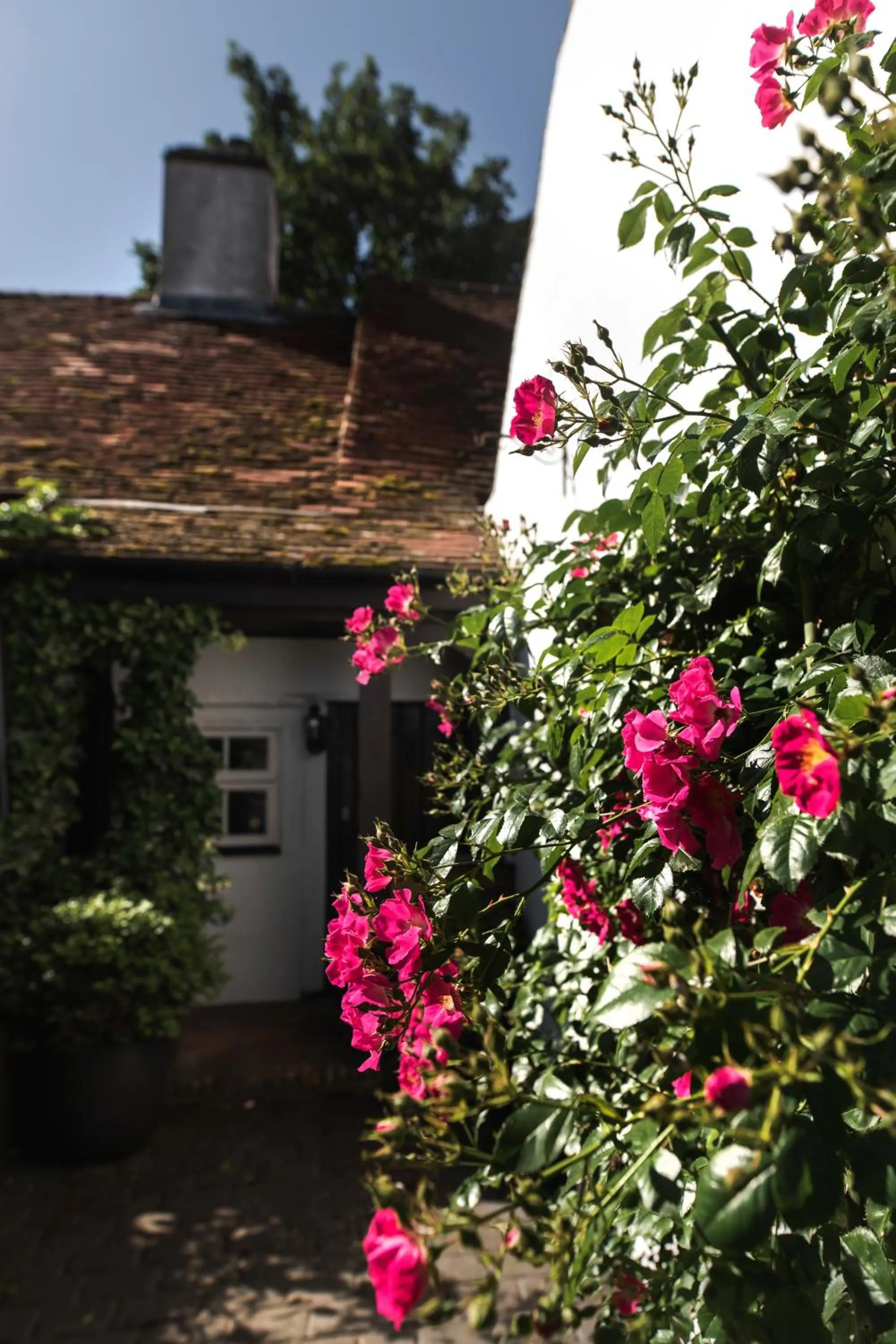 Bird's eye view in The Jasmine Room