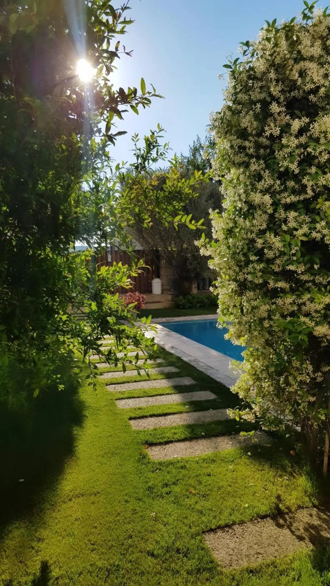 Garden in Peremere Alacati Otel