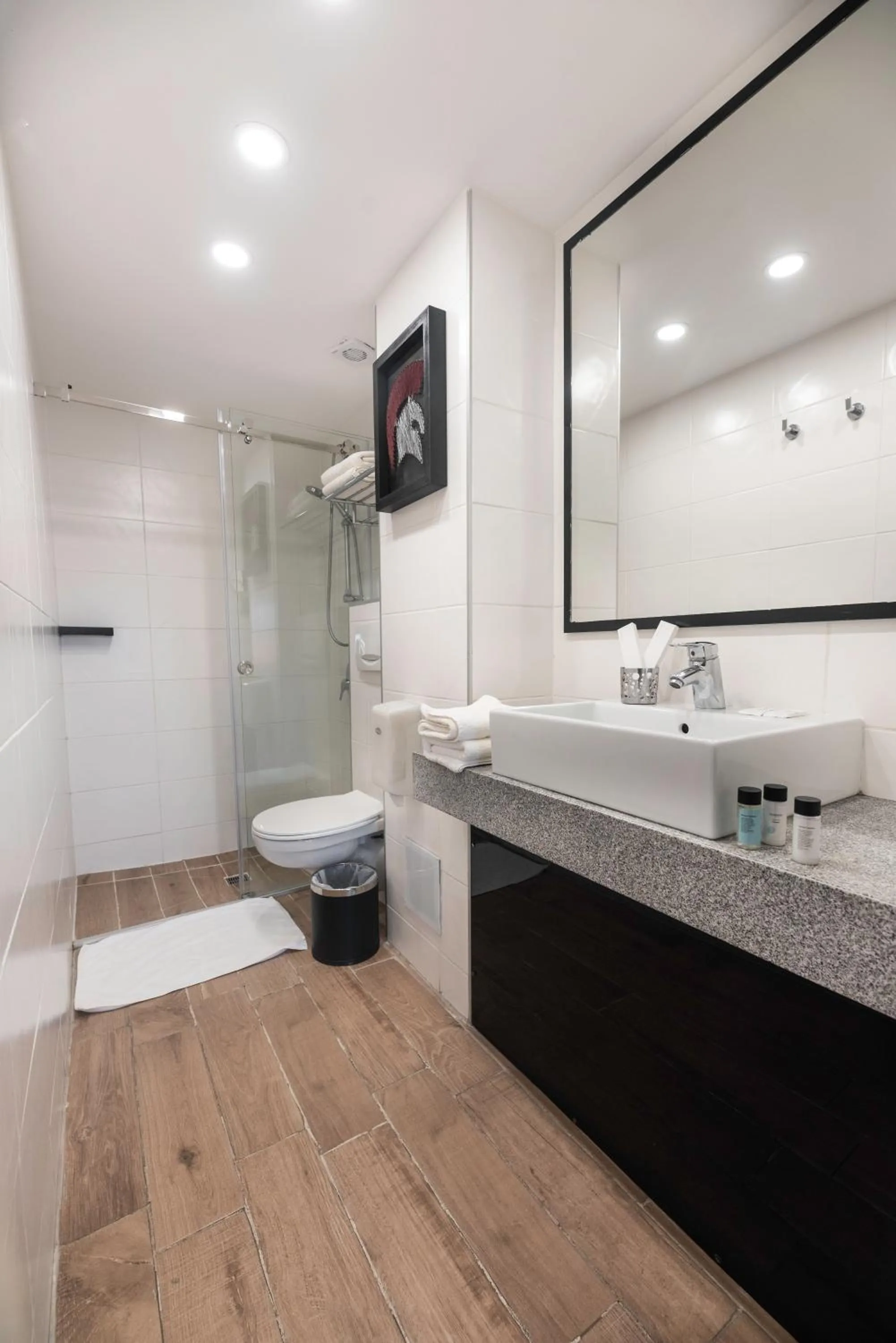 Shower in Rise Urban Art Hotel