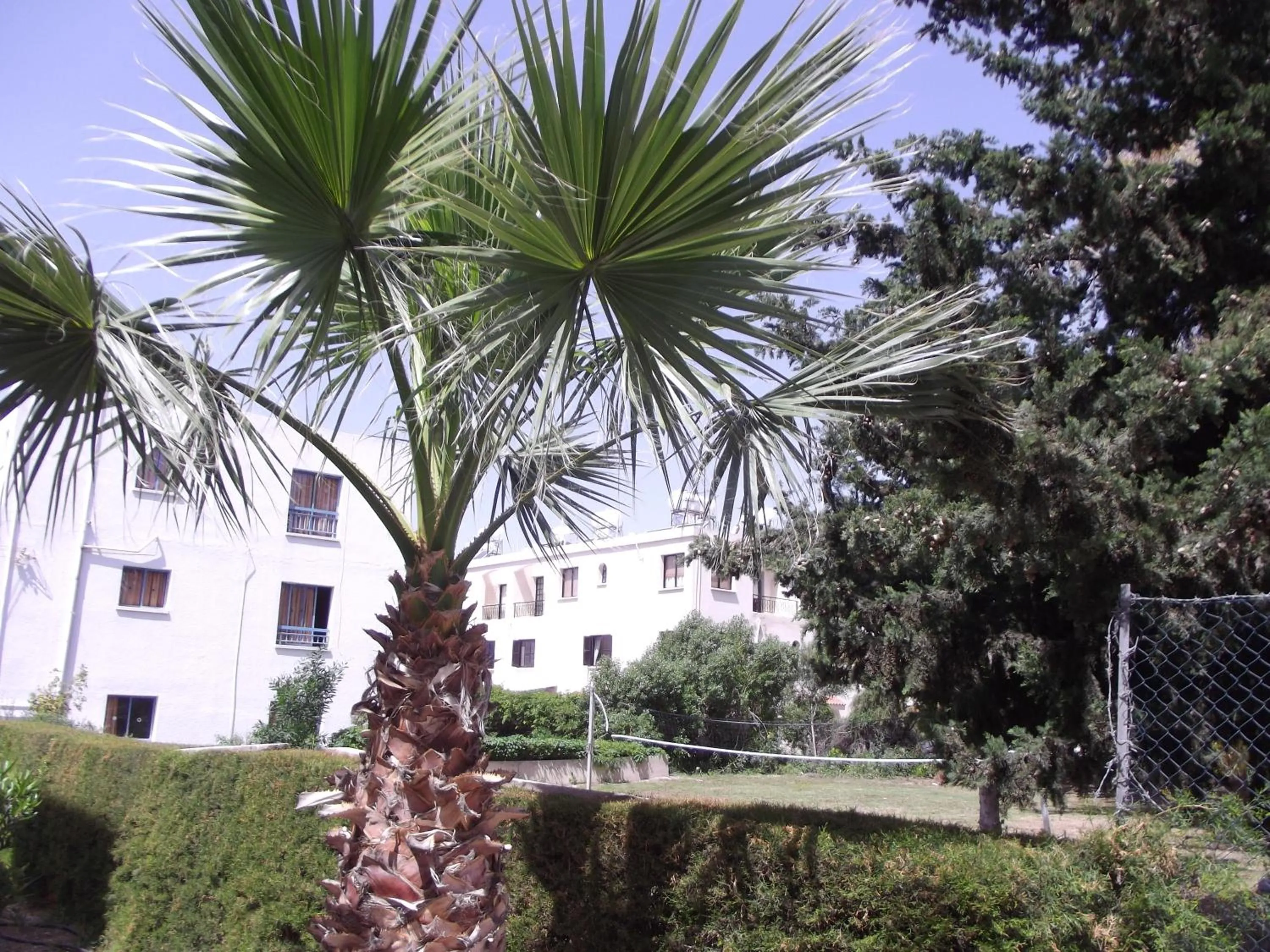 Facade/entrance in Kefalonitis Hotel Apartments