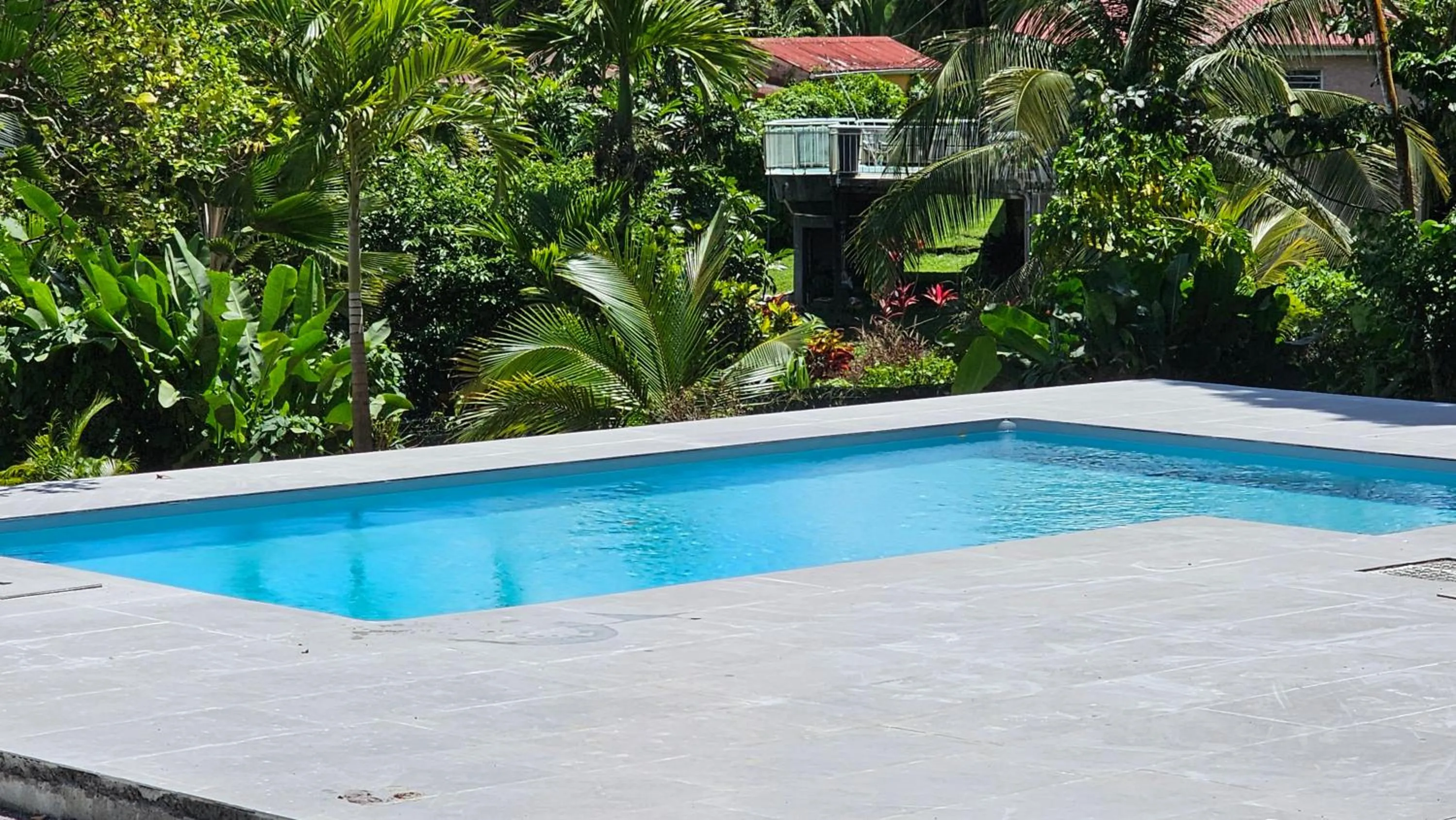 Pool view in Habitation Villa Les Cassias