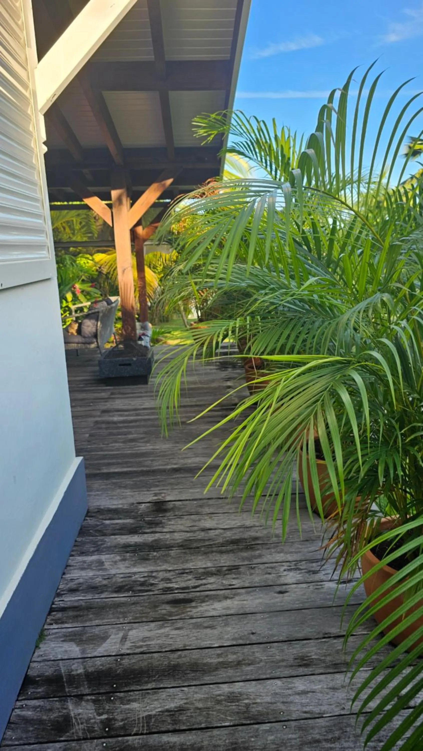 Patio in Habitation Villa Les Cassias