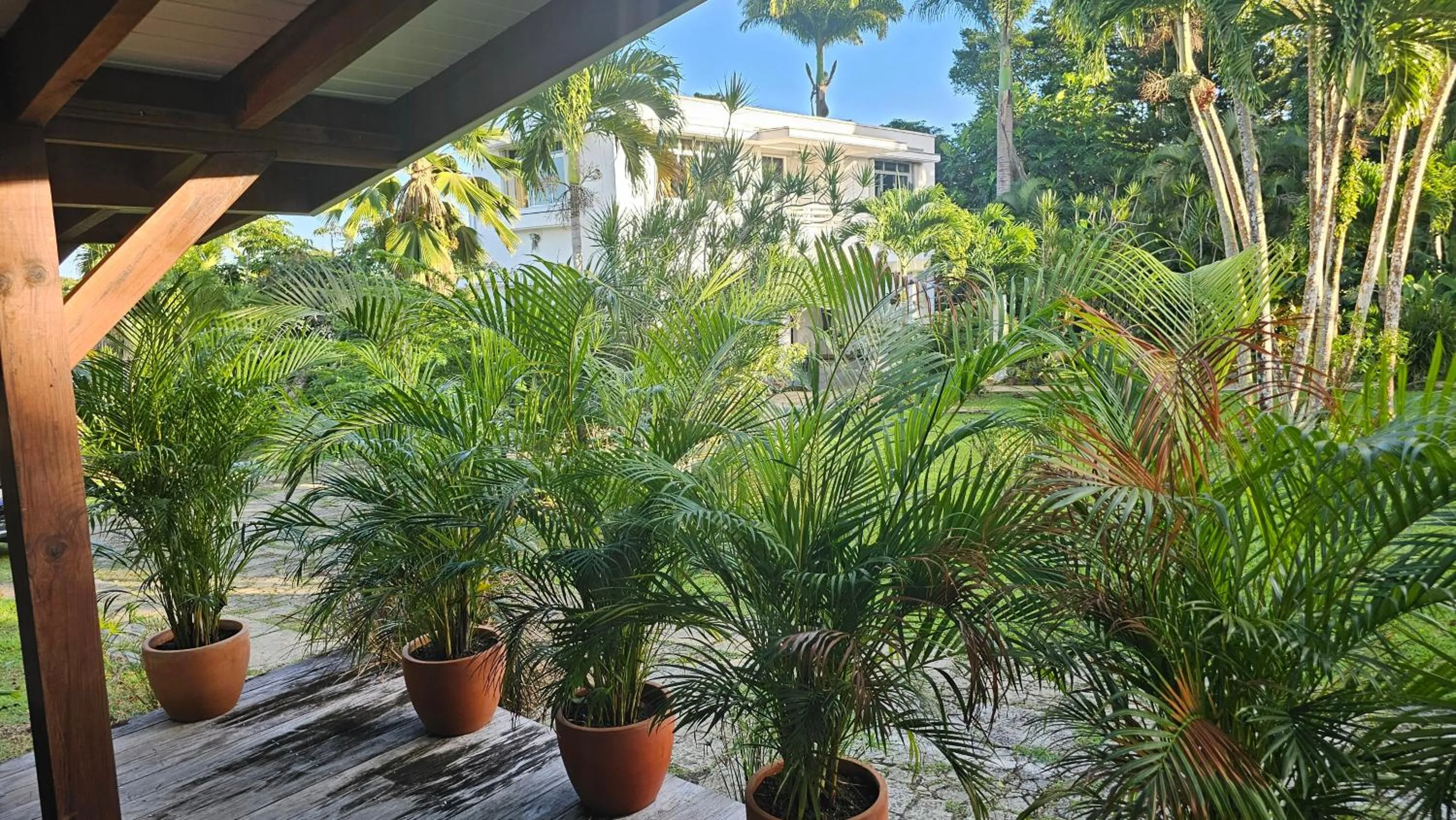 Garden view in Habitation Villa Les Cassias