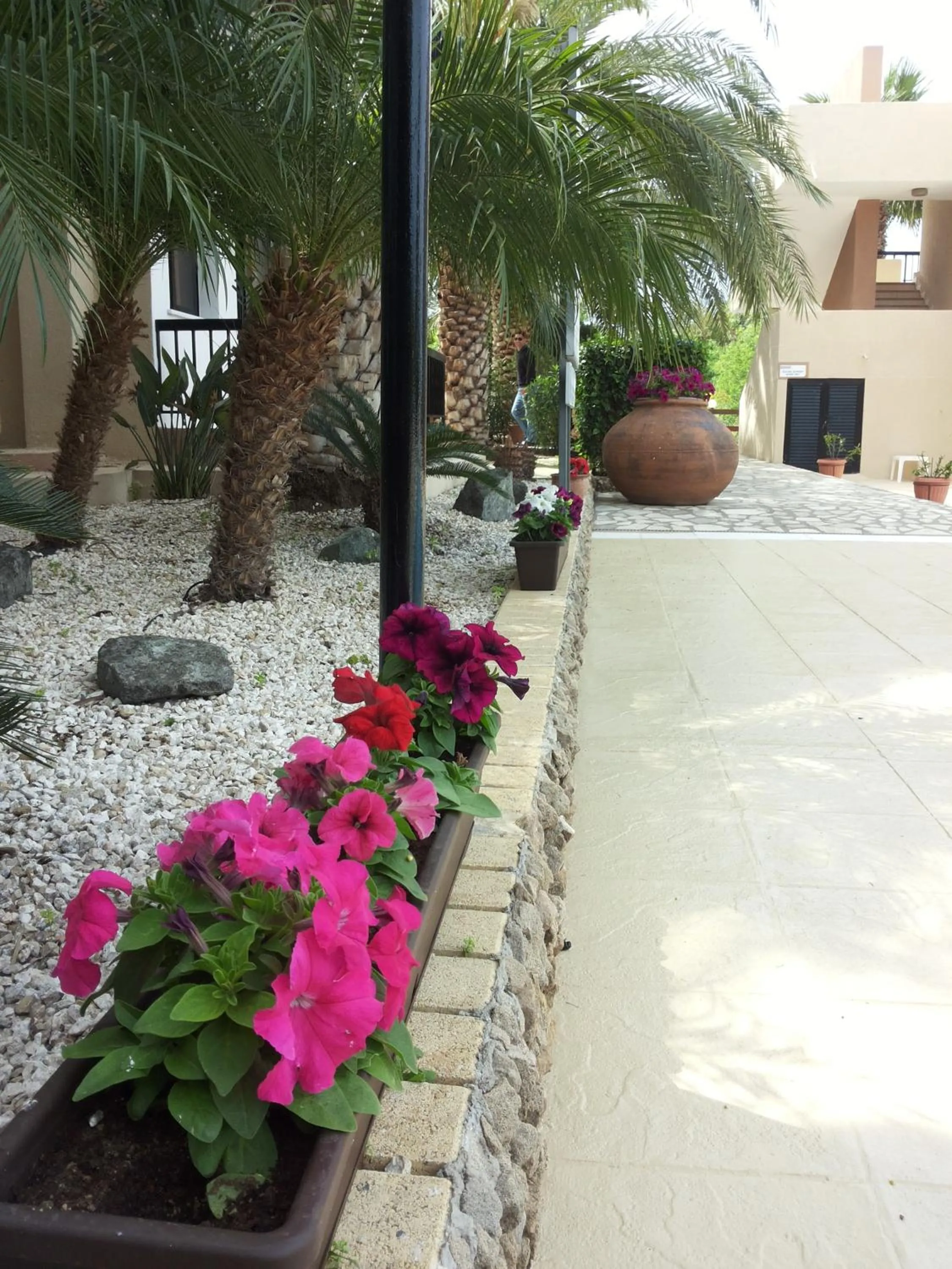 Garden in Anna Hotel Apartments