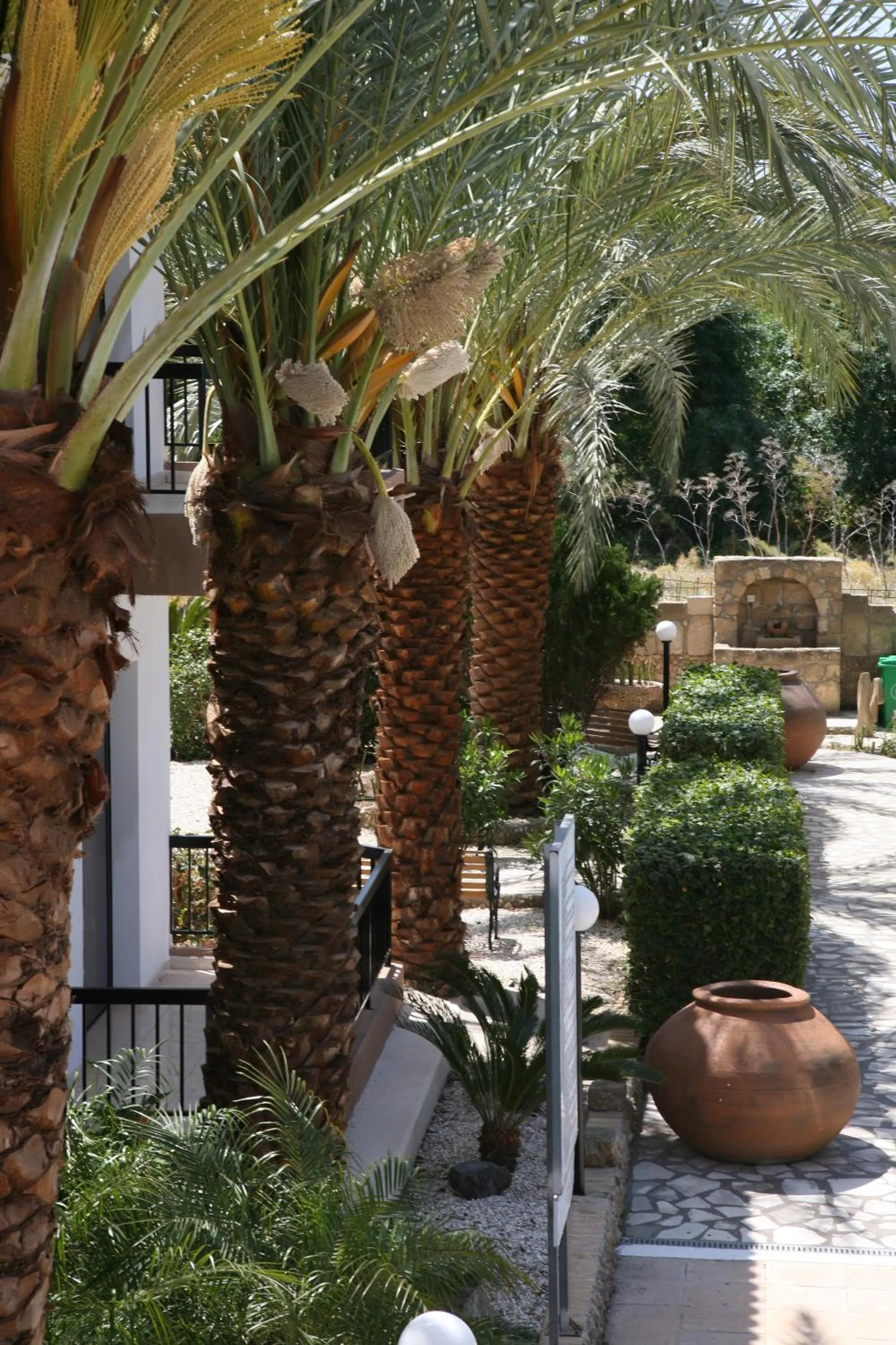 Garden in Anna Hotel Apartments