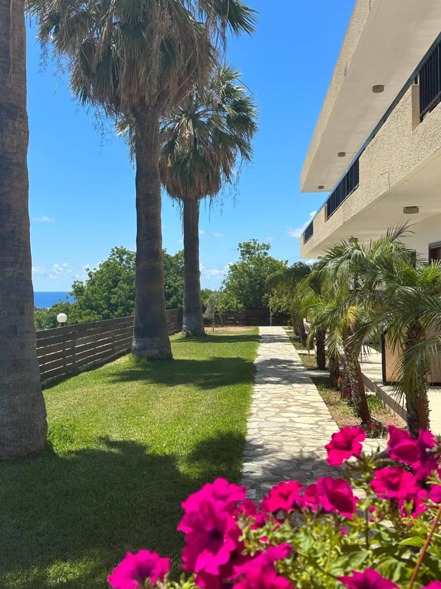 Garden in Anna Hotel Apartments