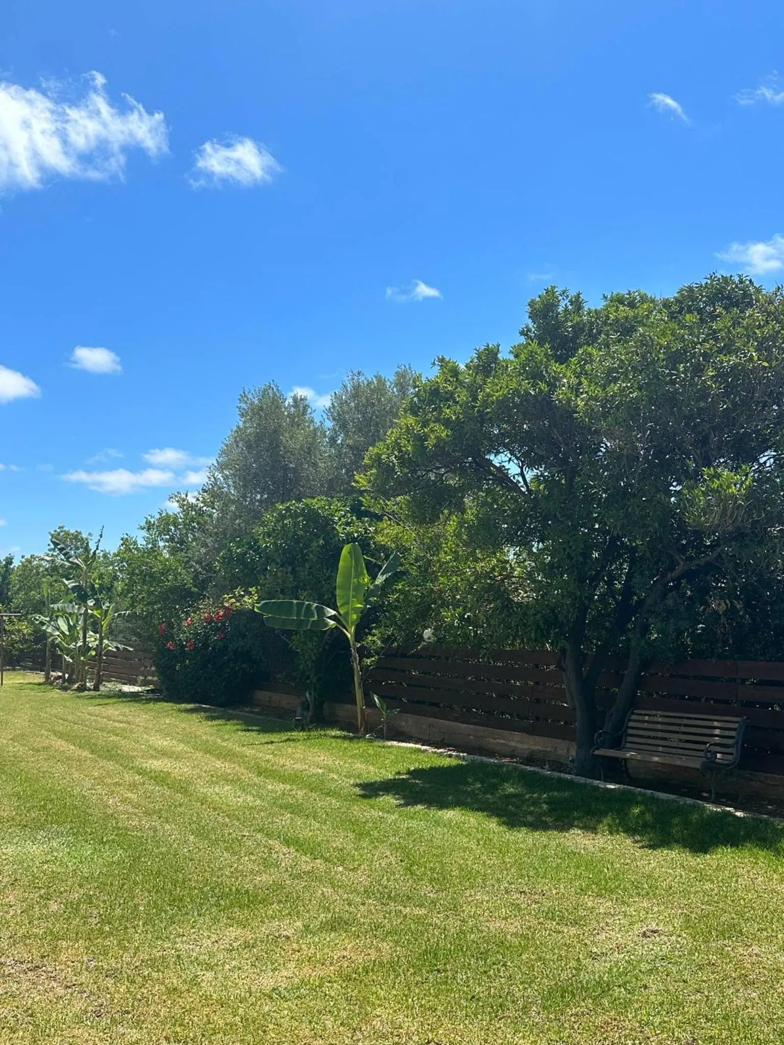 Garden in Anna Hotel Apartments