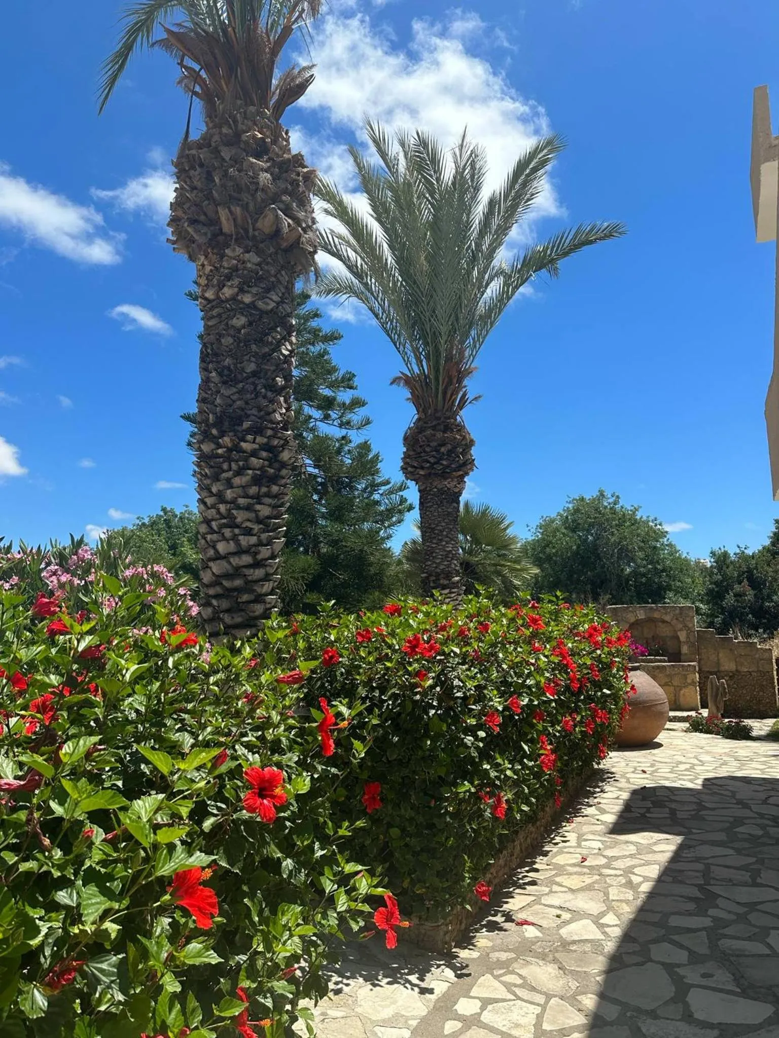 Garden in Anna Hotel Apartments